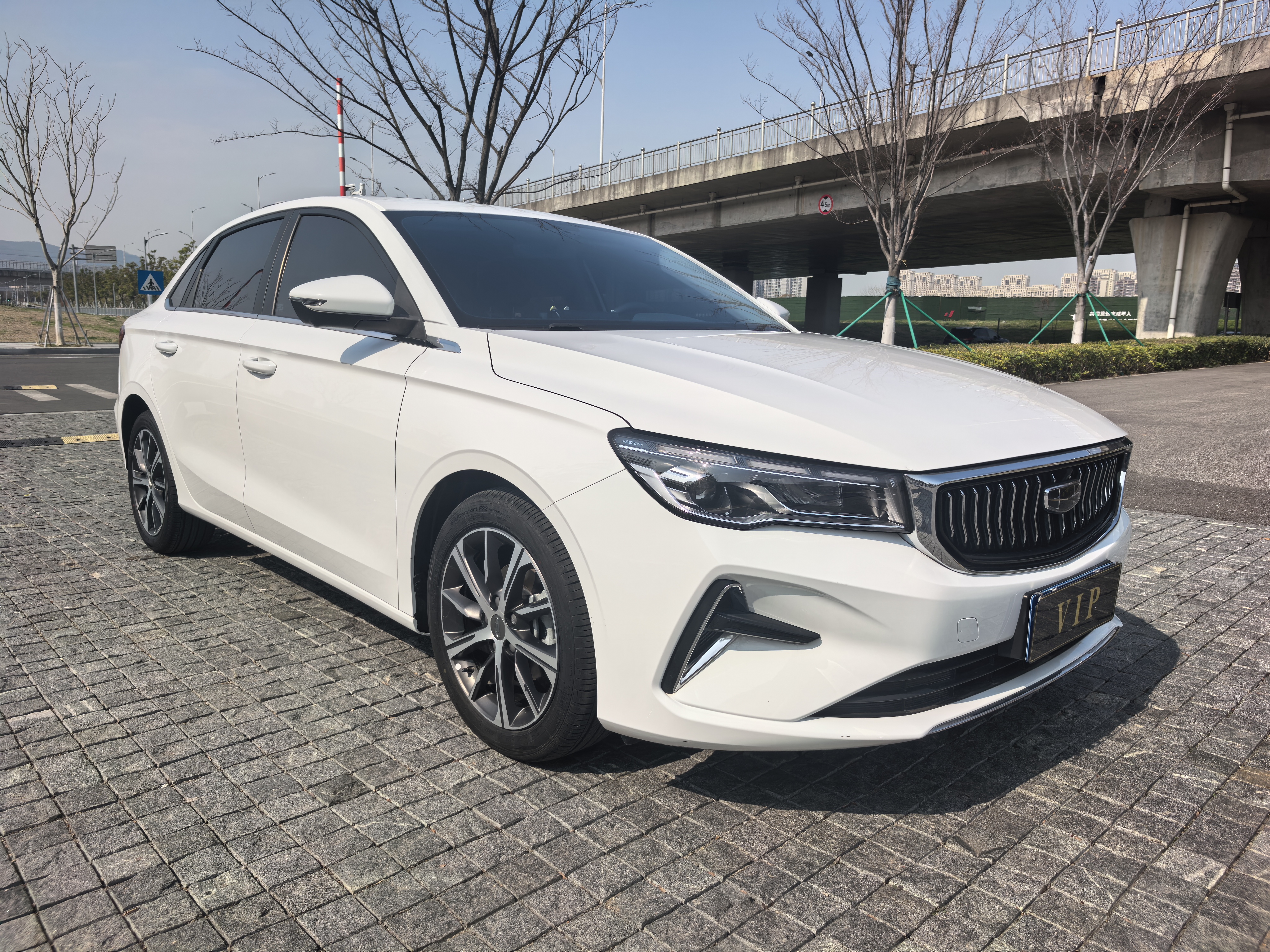 Emgrand 2022 car image #3