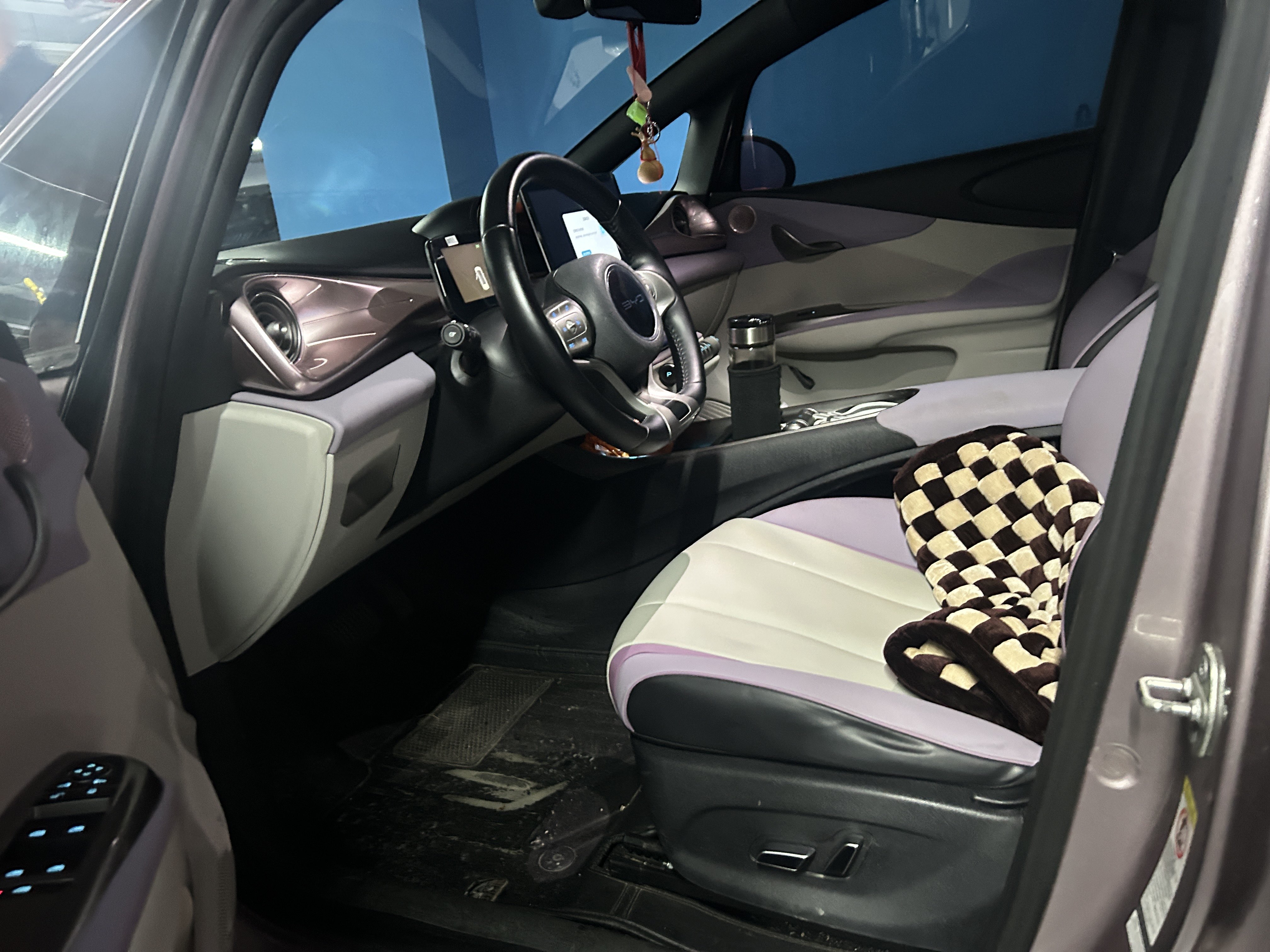 BYD Dolphin 2022 car image #3