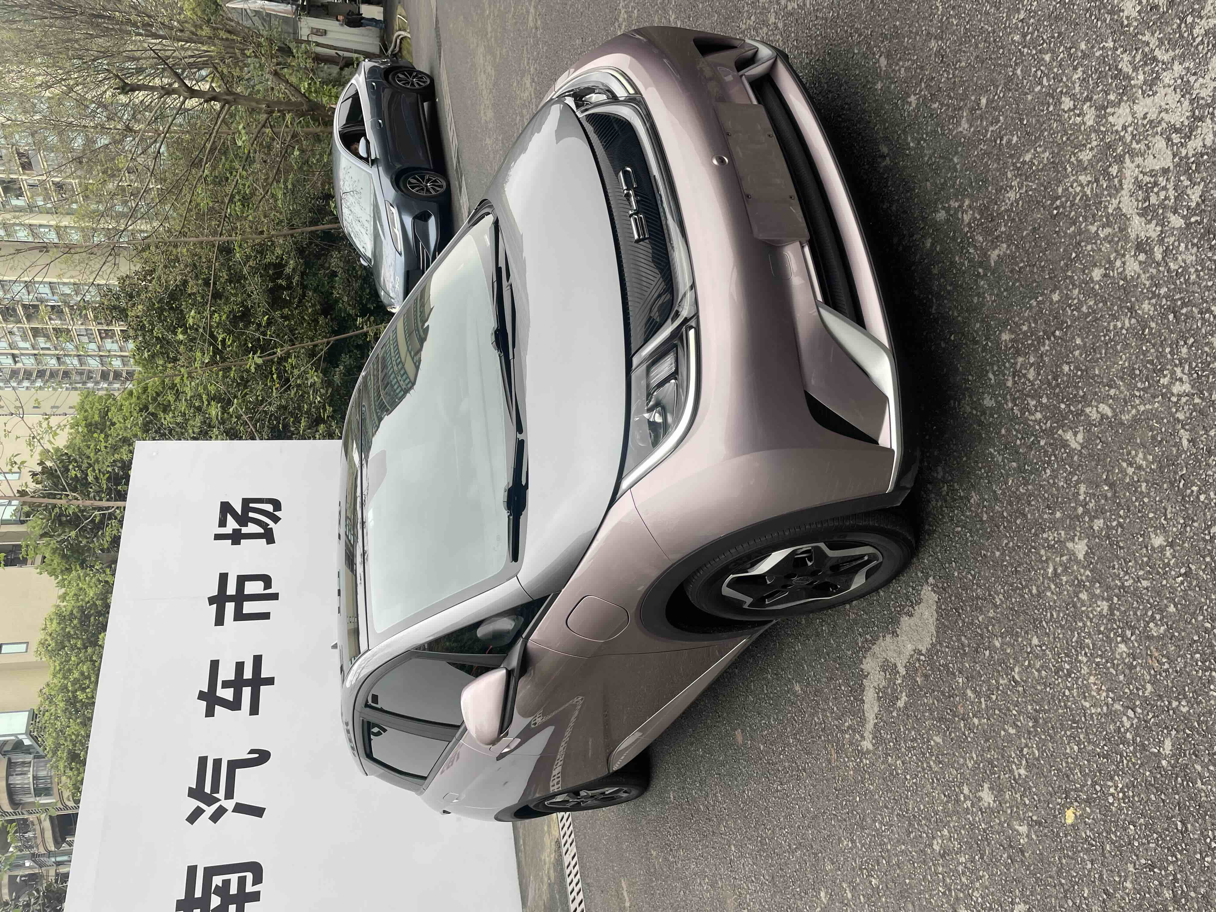 BYD Dolphin 2022 صورة سيارة #3