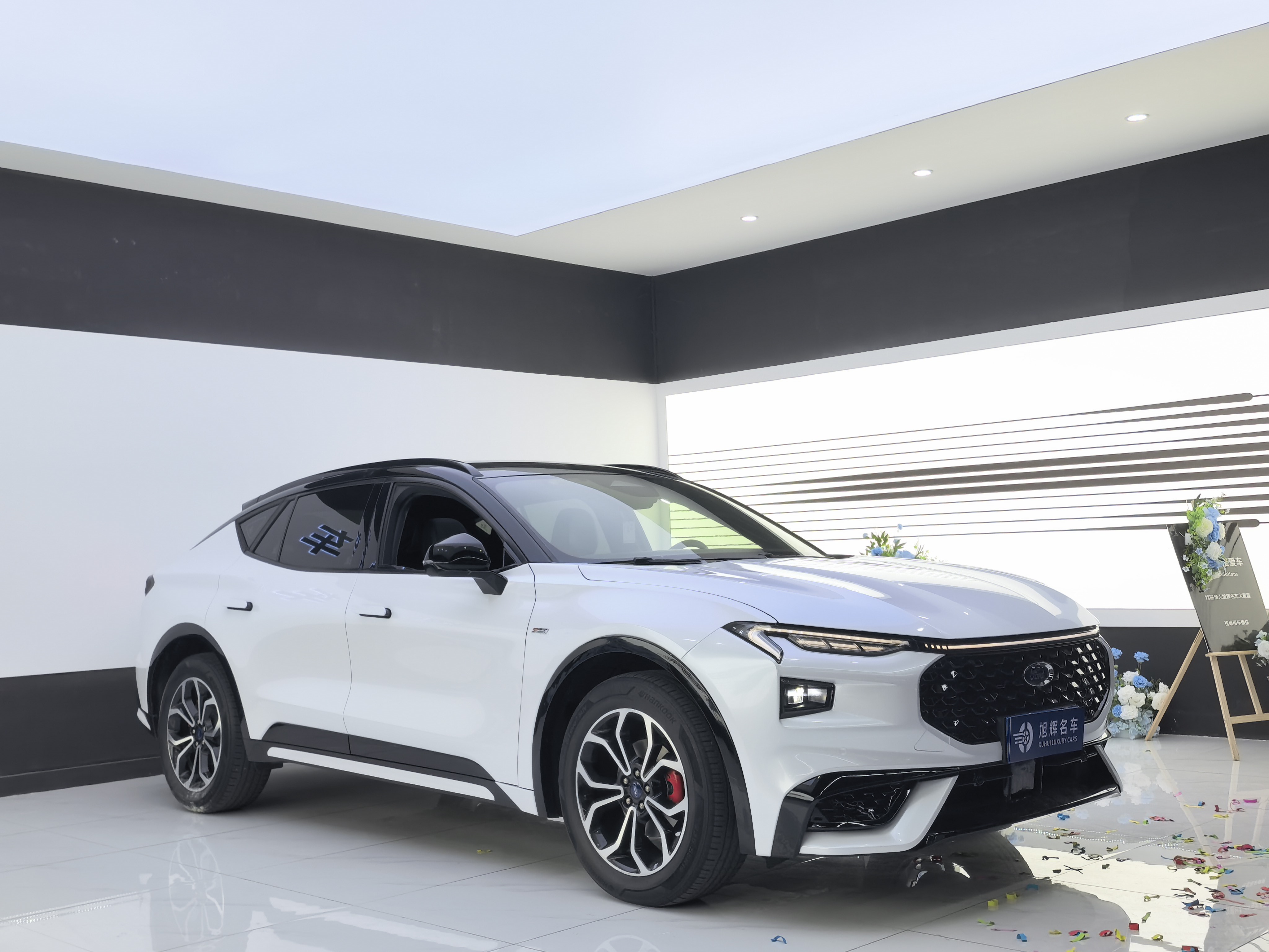 Ford Evos 2022 imagem de carro #3