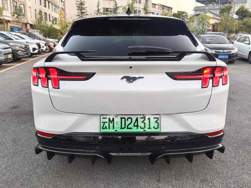 Ford Mustang Mach-E 2022 #3 Ford Mustang Mach-E 2022 car image #3