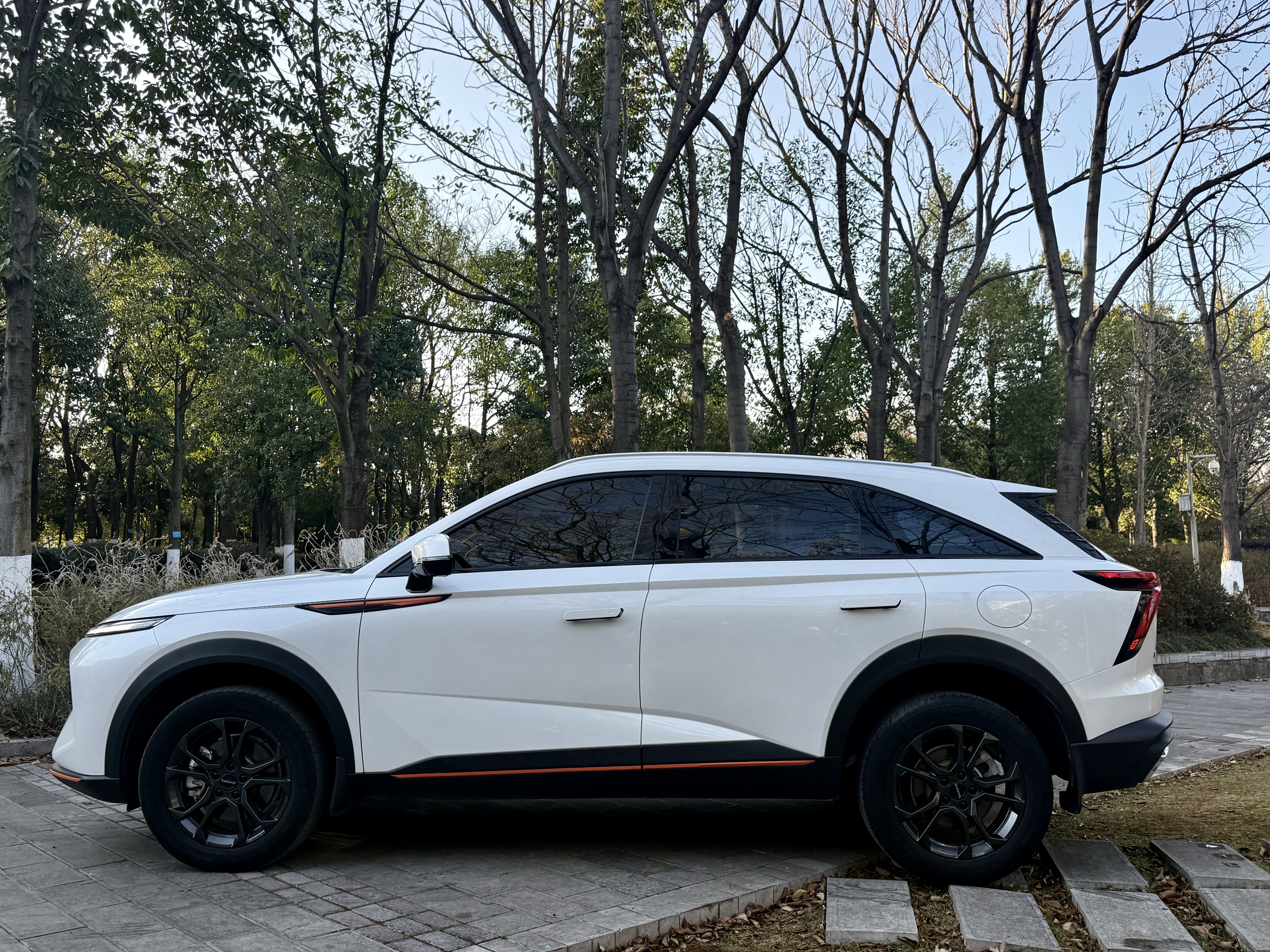 Haval XY 2022 #3 Haval XY 2022 صورة سيارة #3