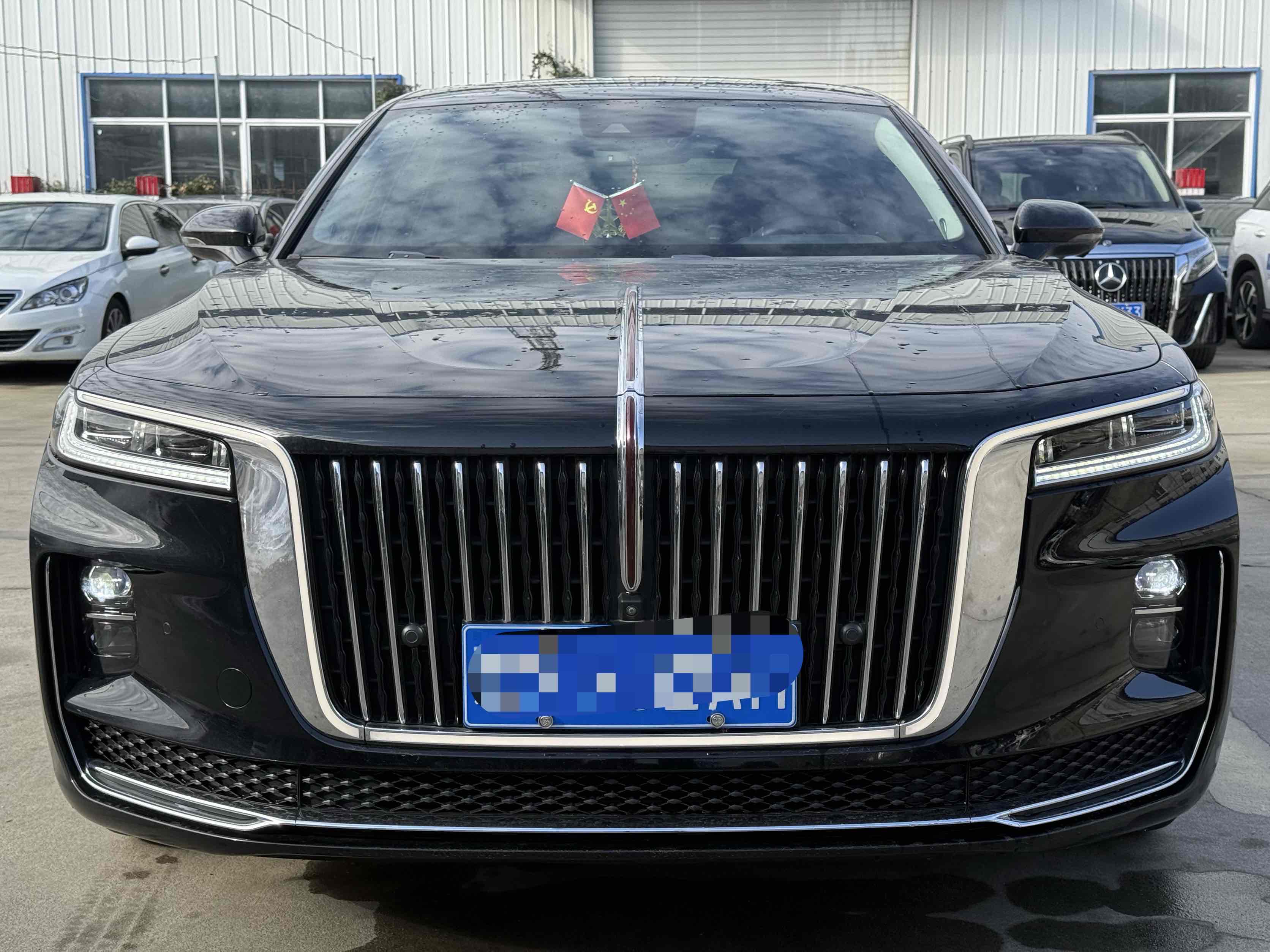 HongQi GuoLi 2021 car image #3