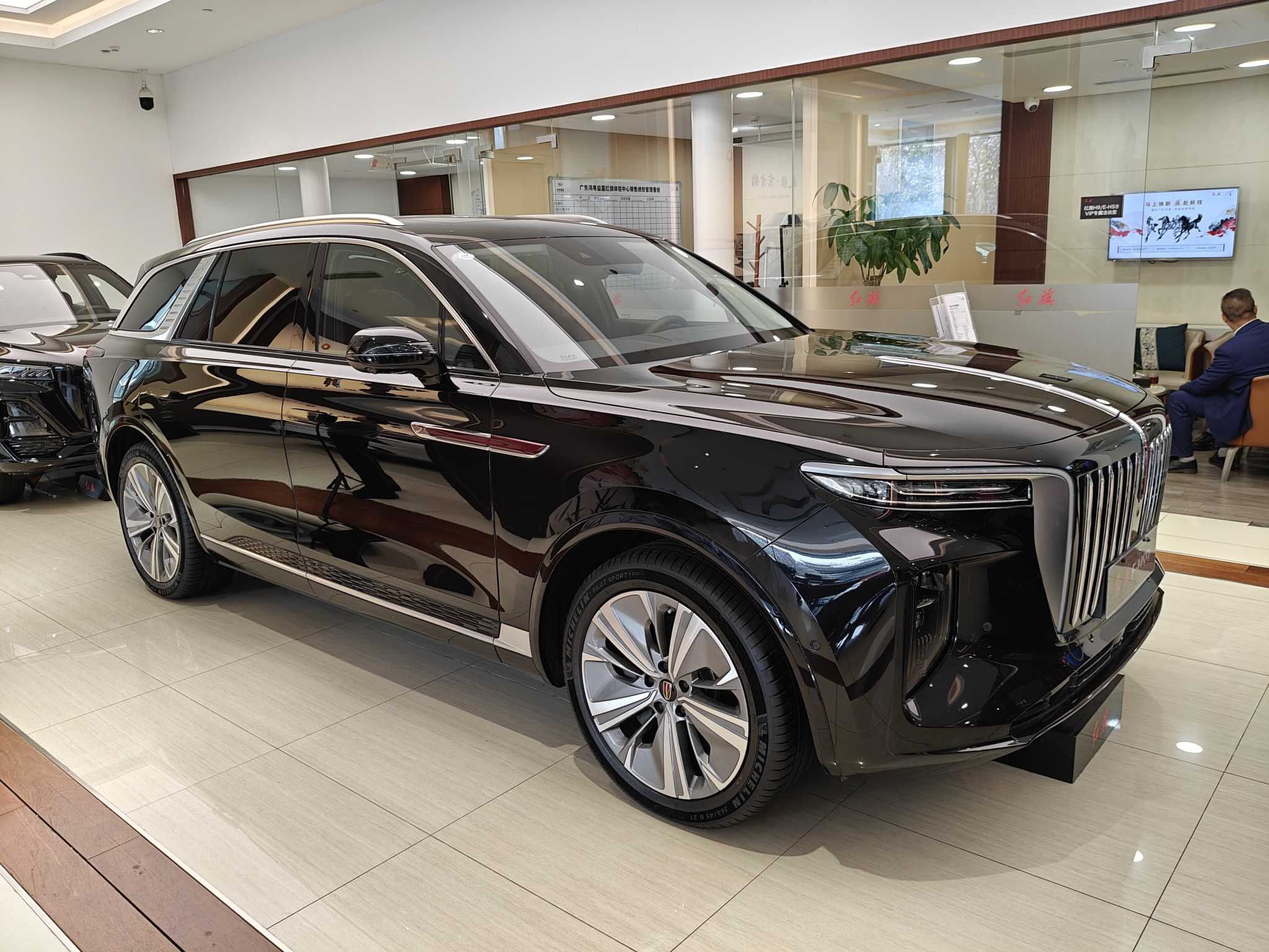 HongQi E-HS9 2026 car image #3