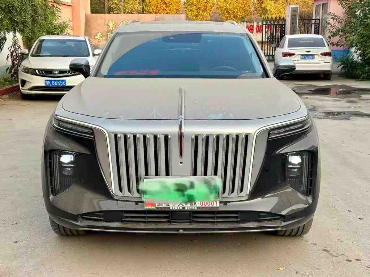HongQi E-HS9 2023 immagine di auto #3