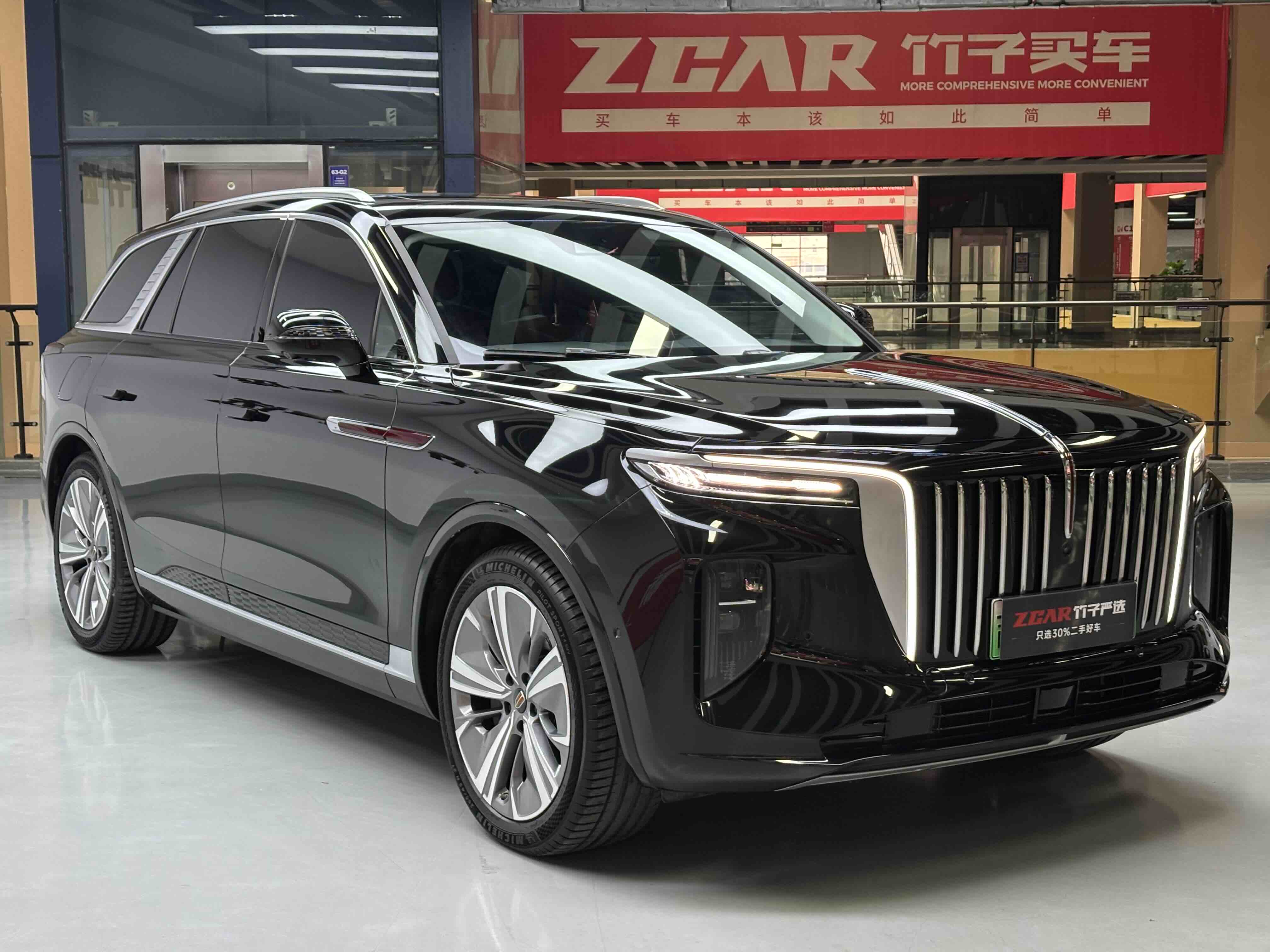 HongQi E-HS9 2023 imagem de carro #3
