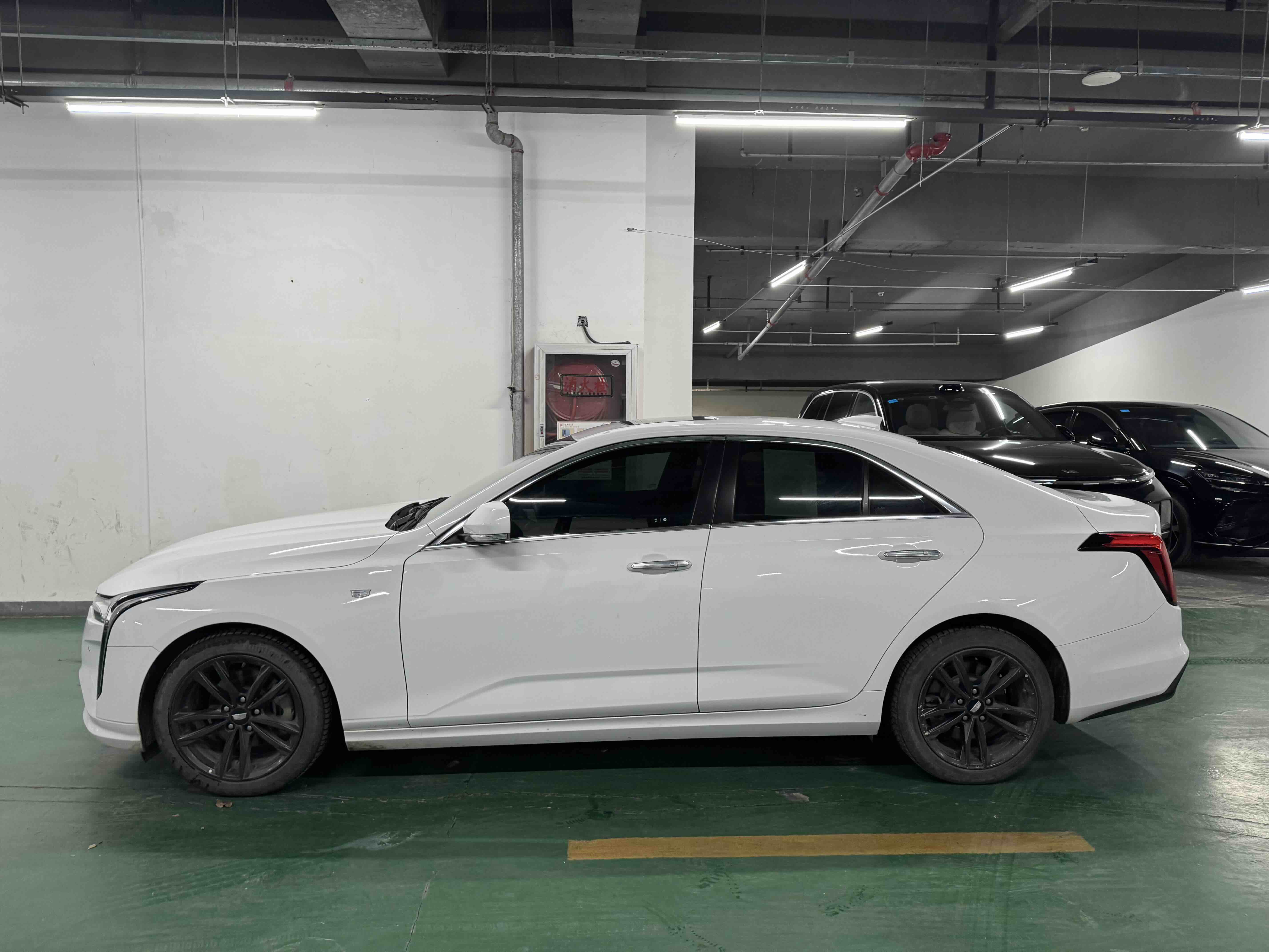 2022 #3 2022 car image #3