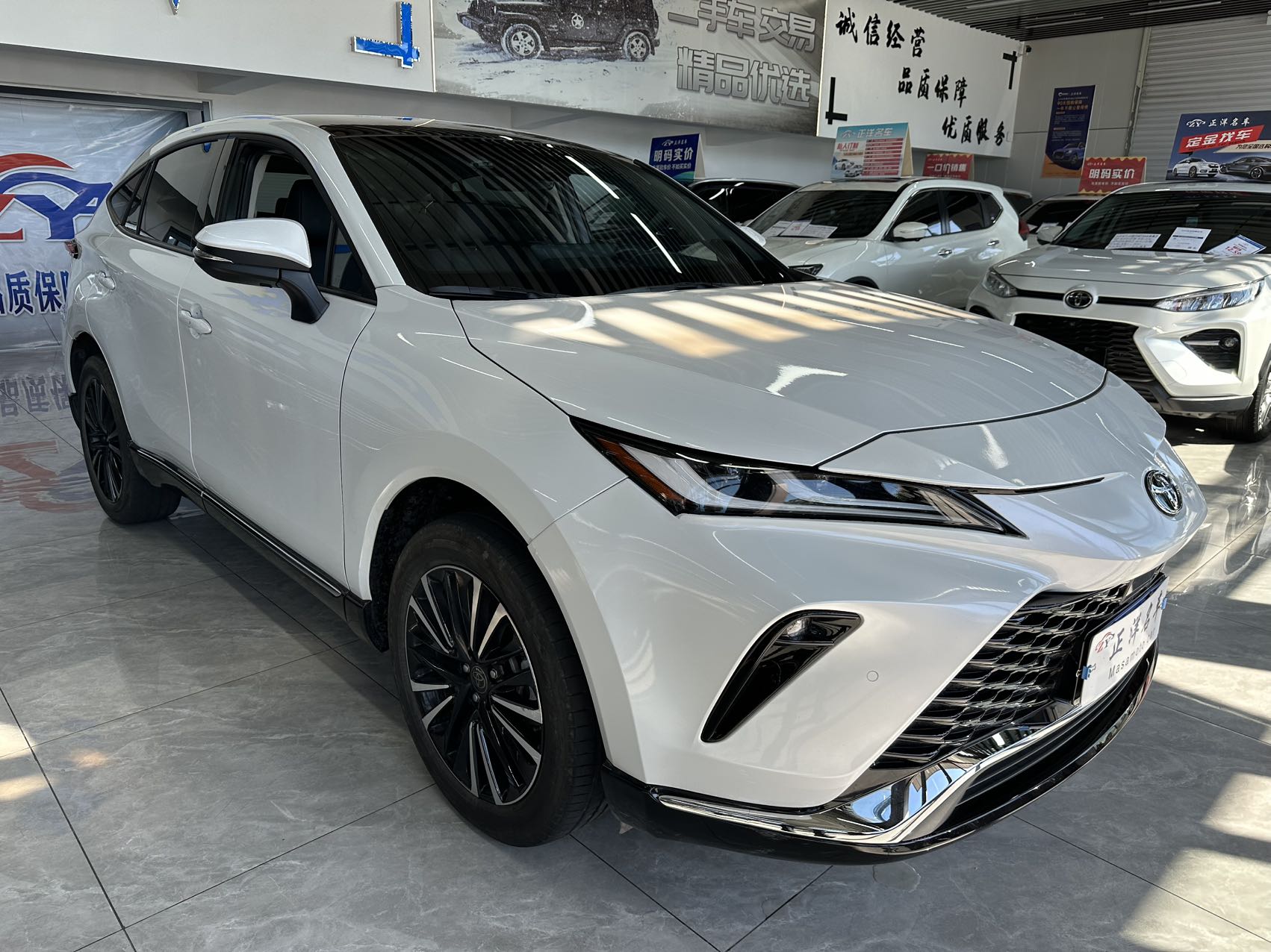 Toyota Venza 2023 immagine di auto #3