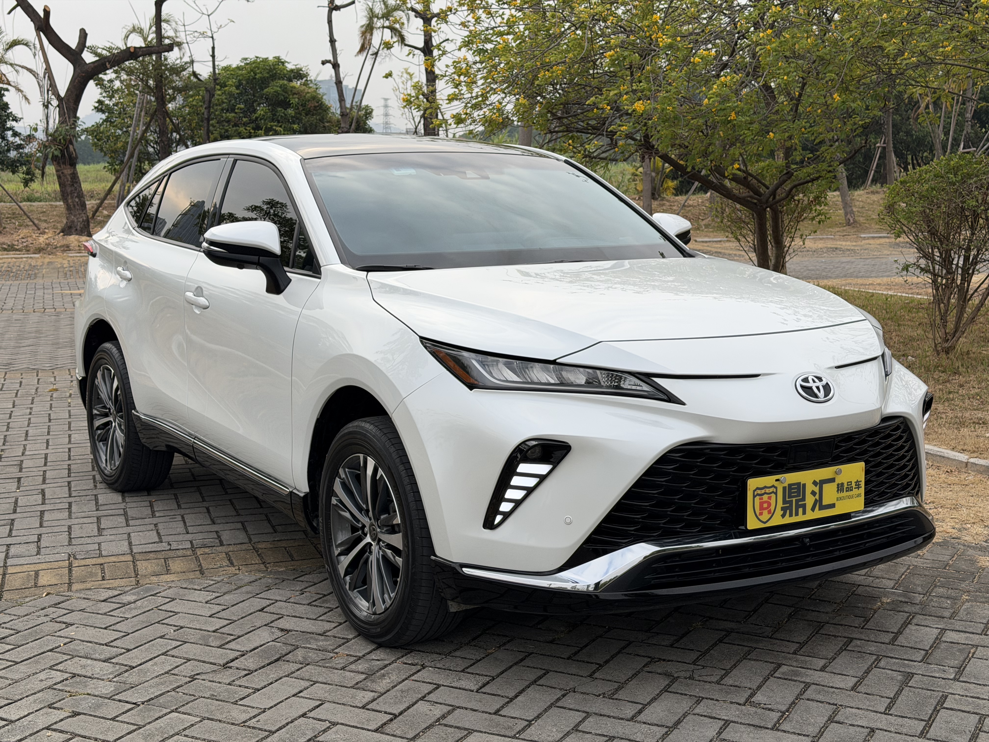 Toyota Venza 2023 immagine di auto #3