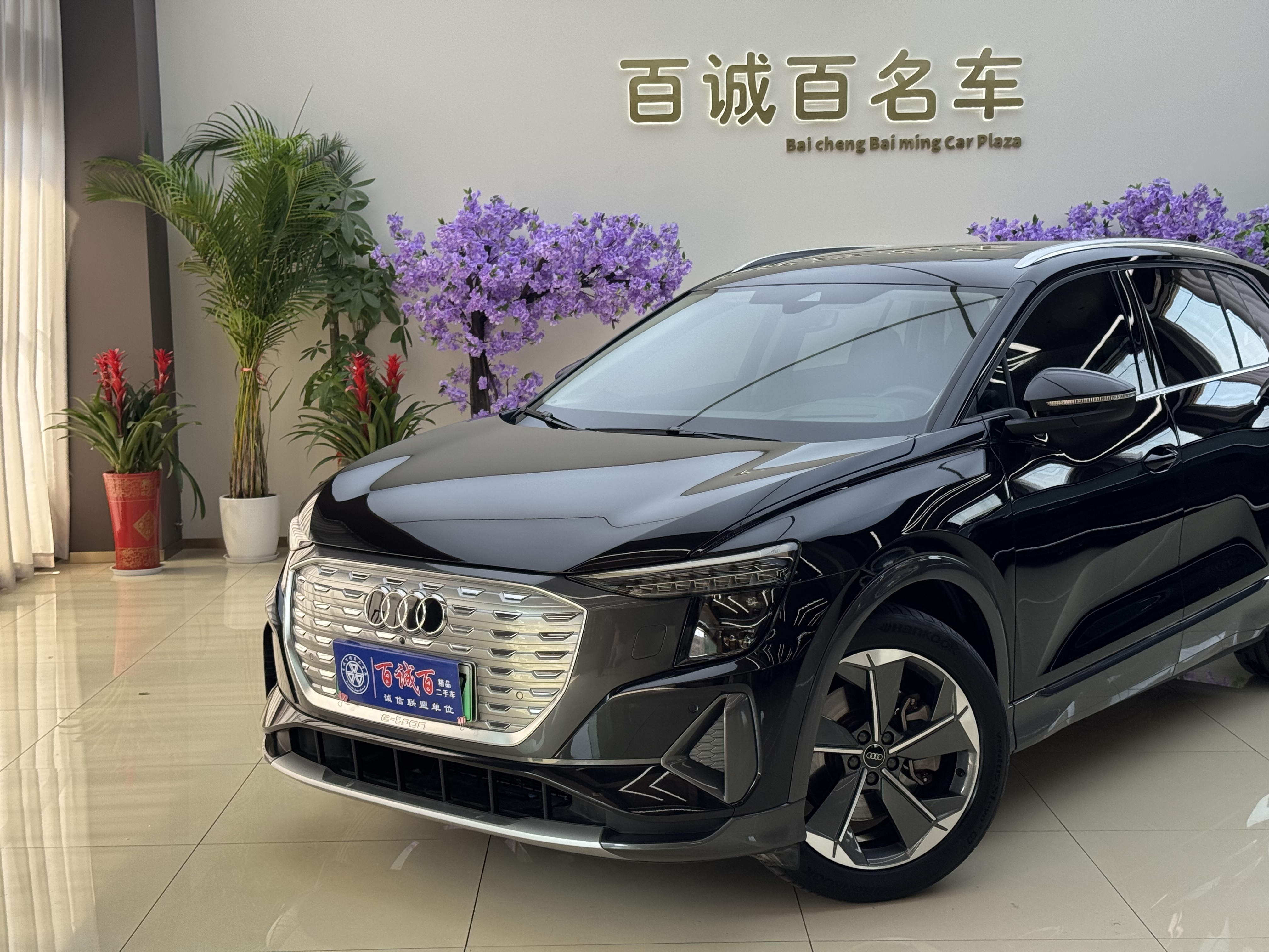 奥迪 奥迪Q5 e-tron 2022 汽车图片 #3
