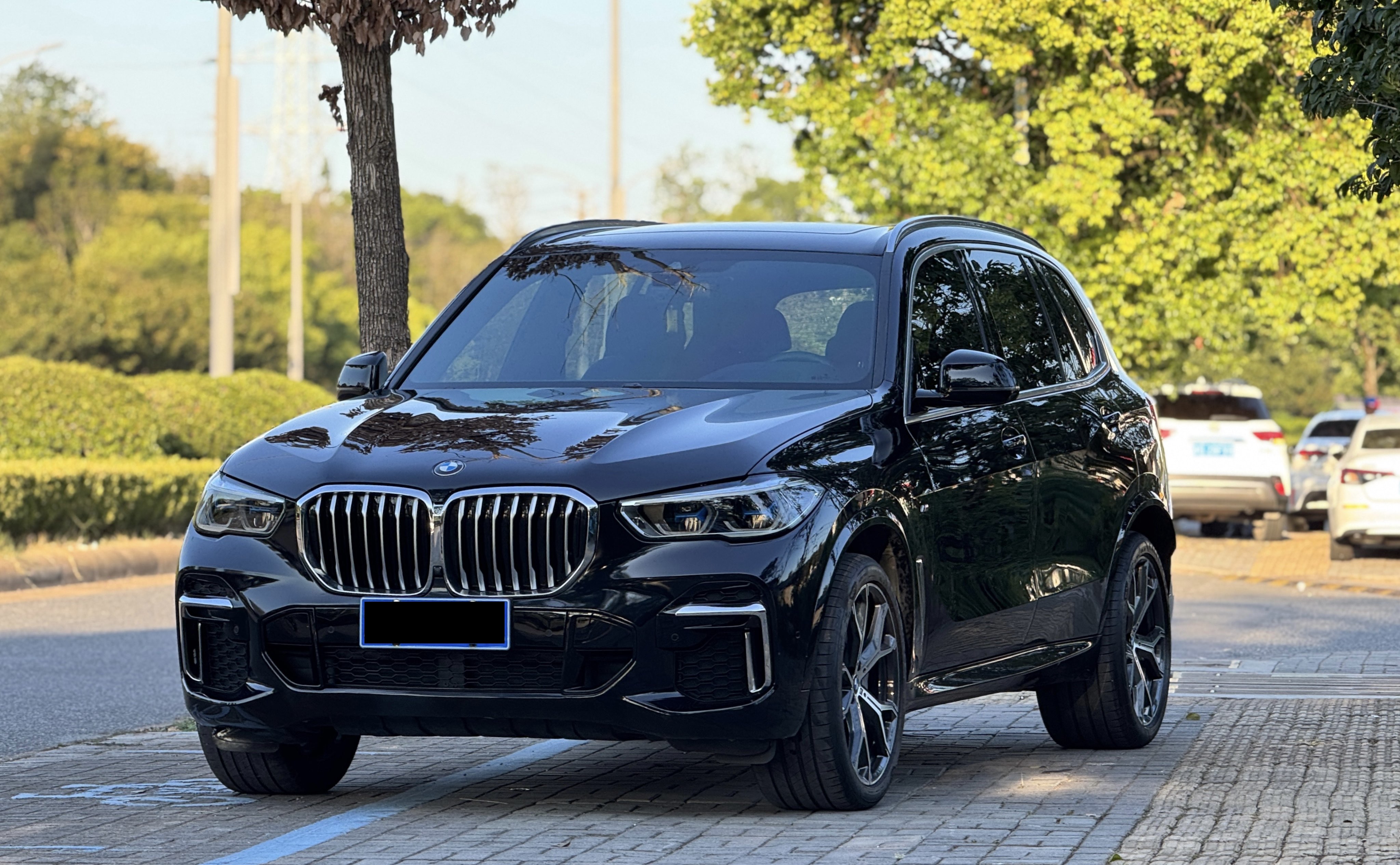 BMW X5 2023 #3 BMW X5 2023 imagen de coche #3