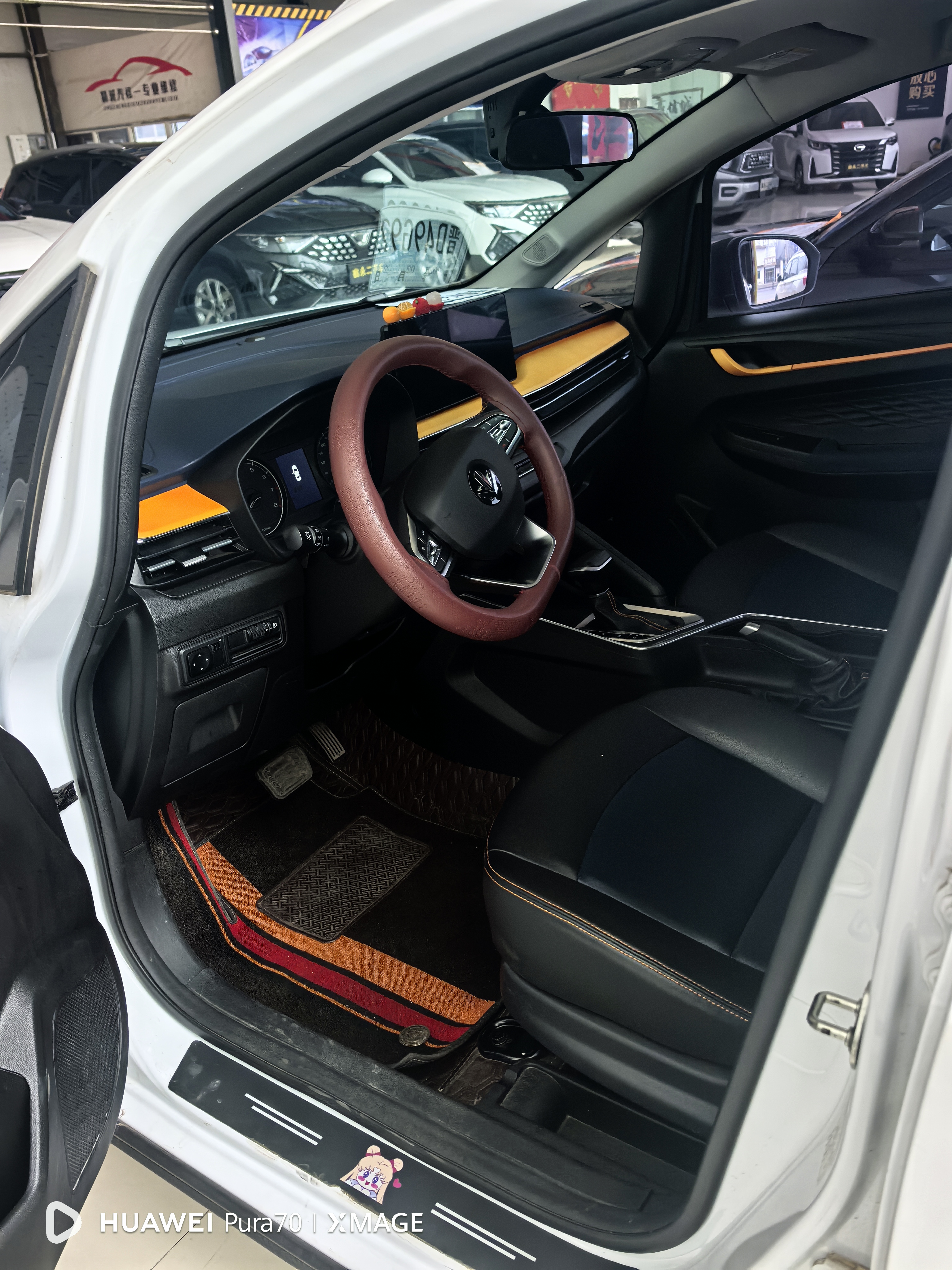 X3 PRO 2022 immagine di auto #3