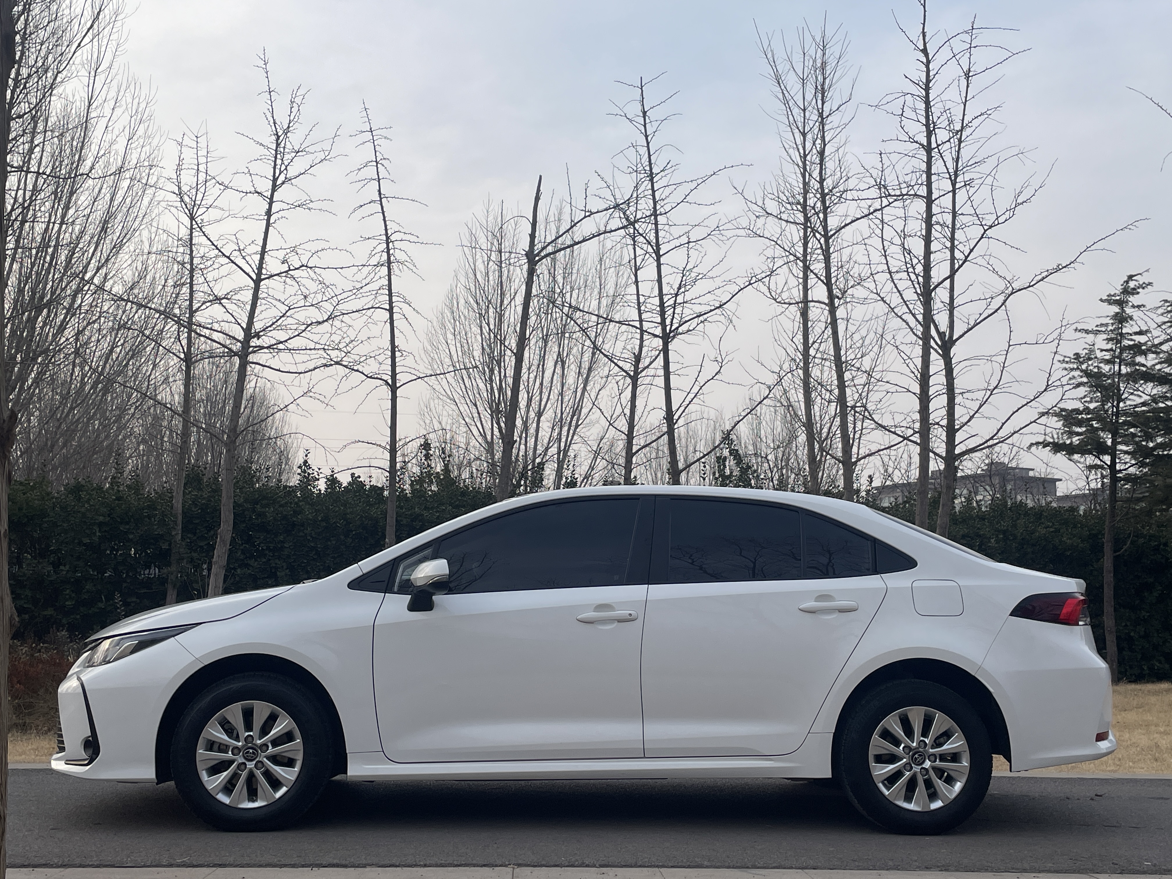 Corolla 2023 #3 Corolla 2023 car image #3