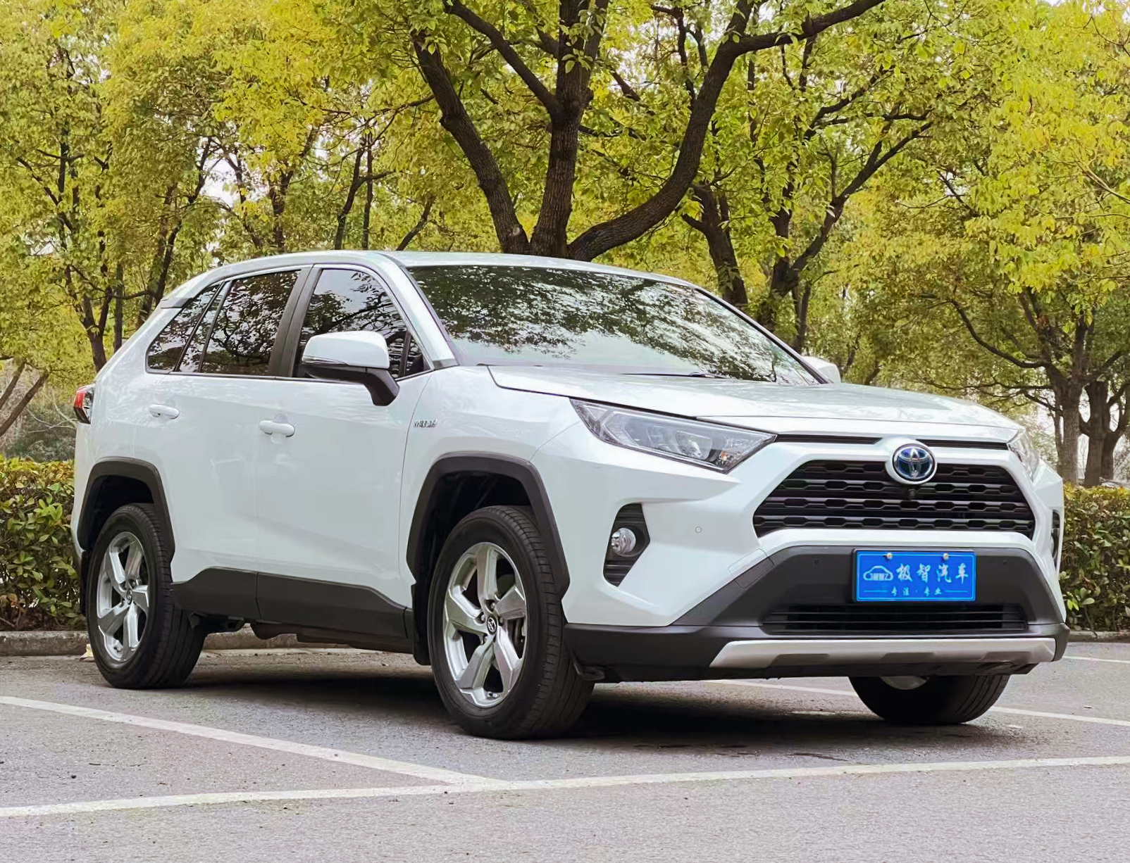 Toyota RAV4 2023 #3 Toyota RAV4 2023 car image #3
