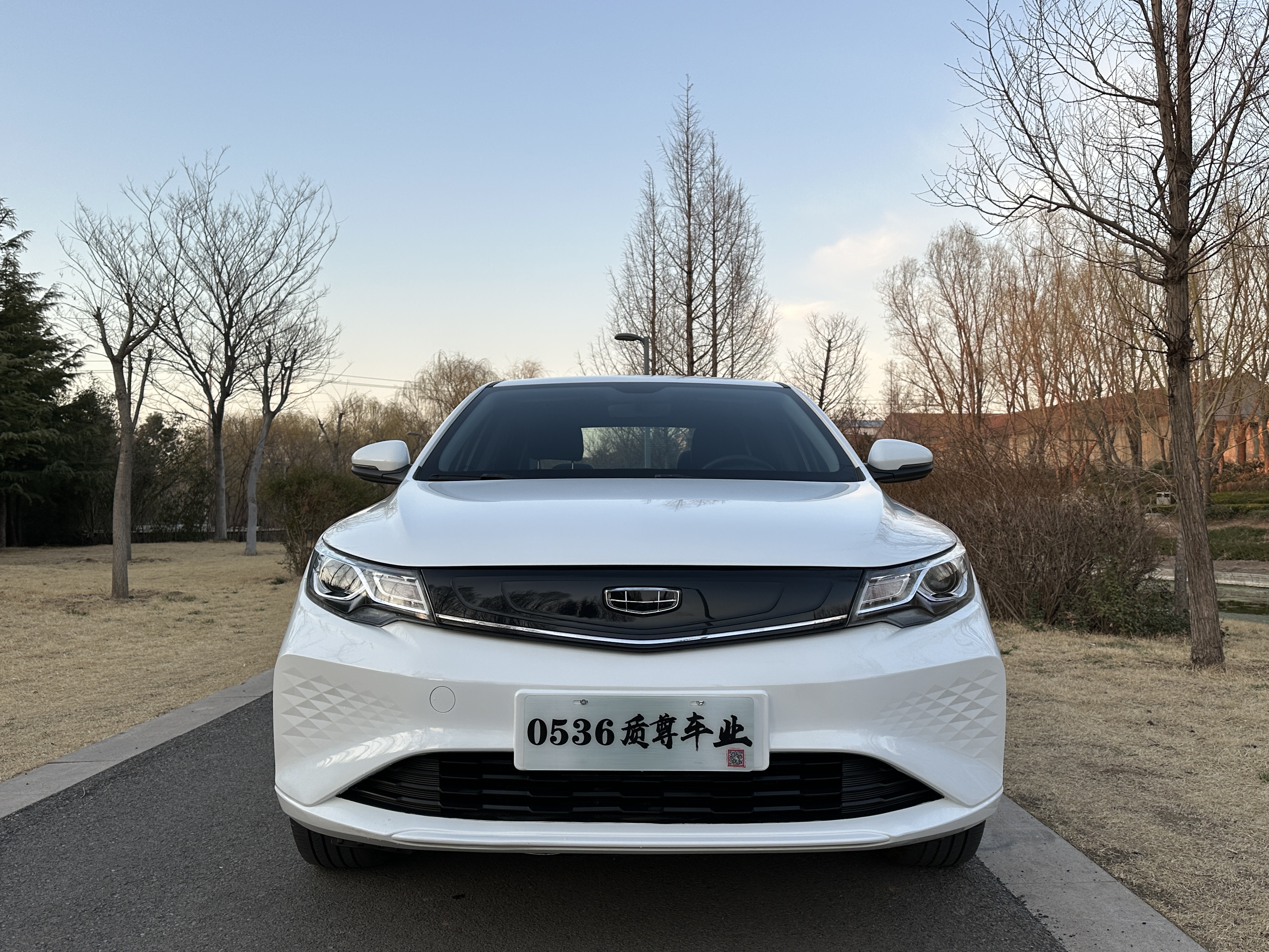 GEELY Emgrand New Energy 2024 car image #3