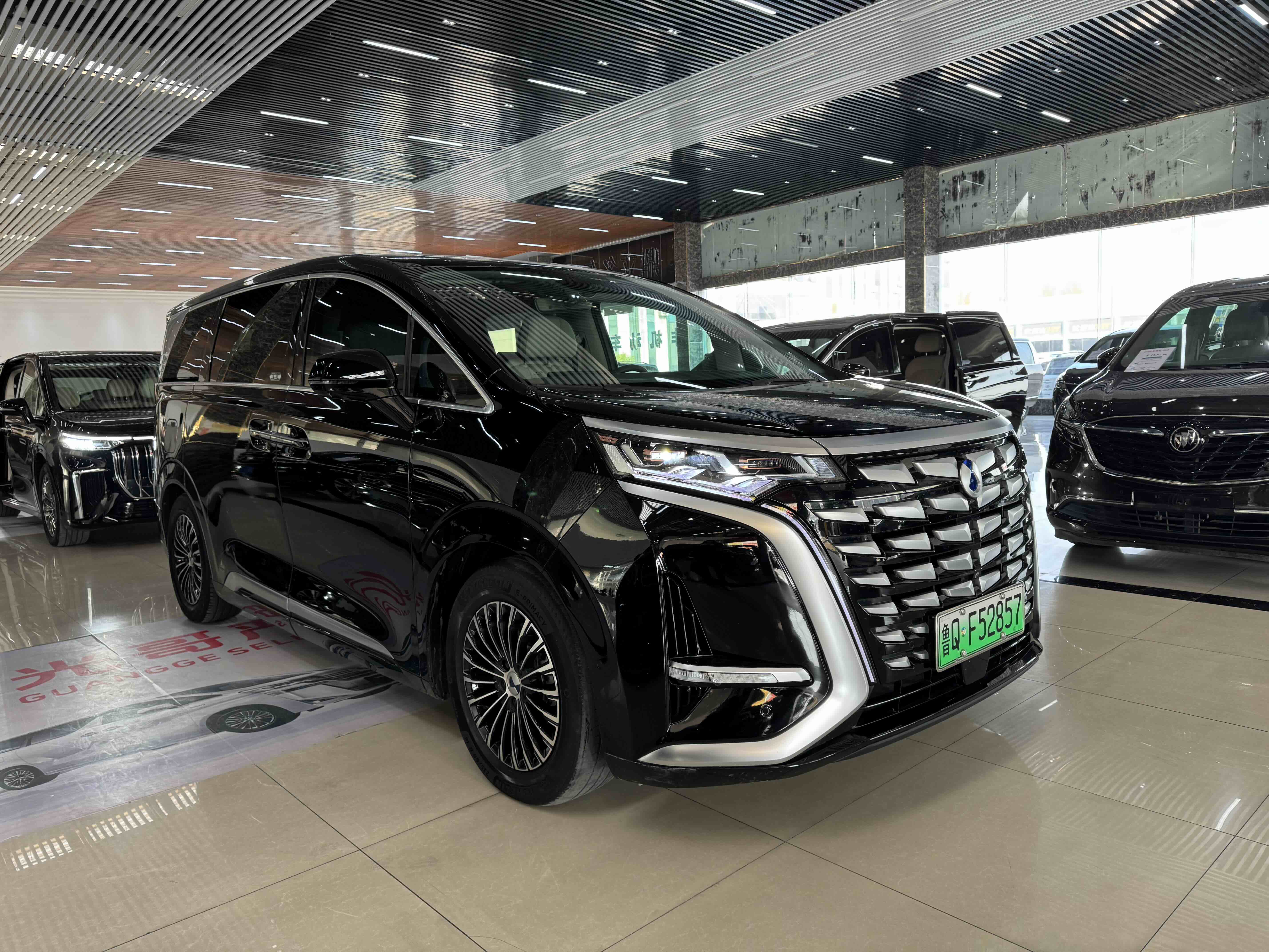 Denza D9 2023 imagem de carro #3