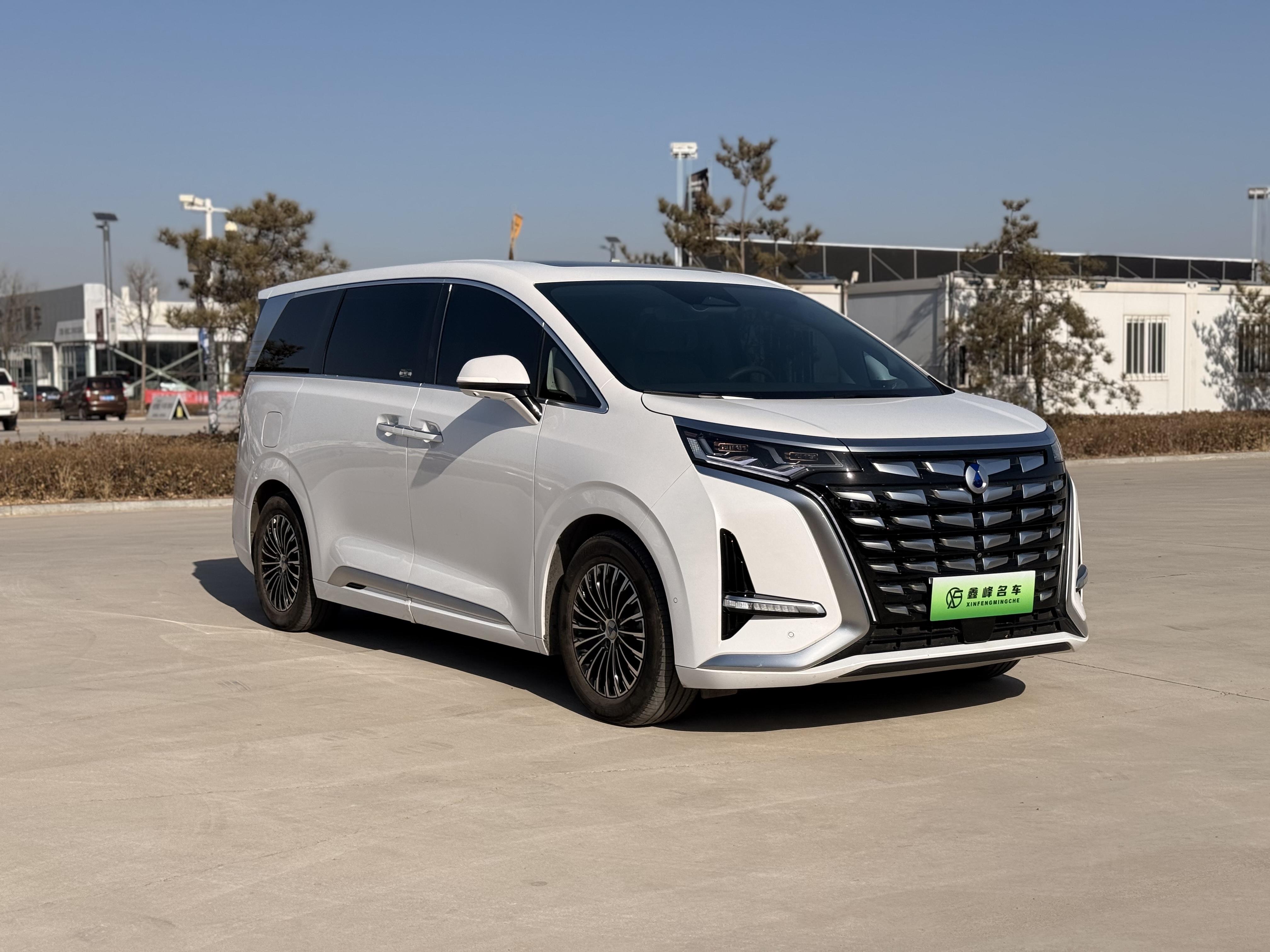 Denza D9 2024 car image #3