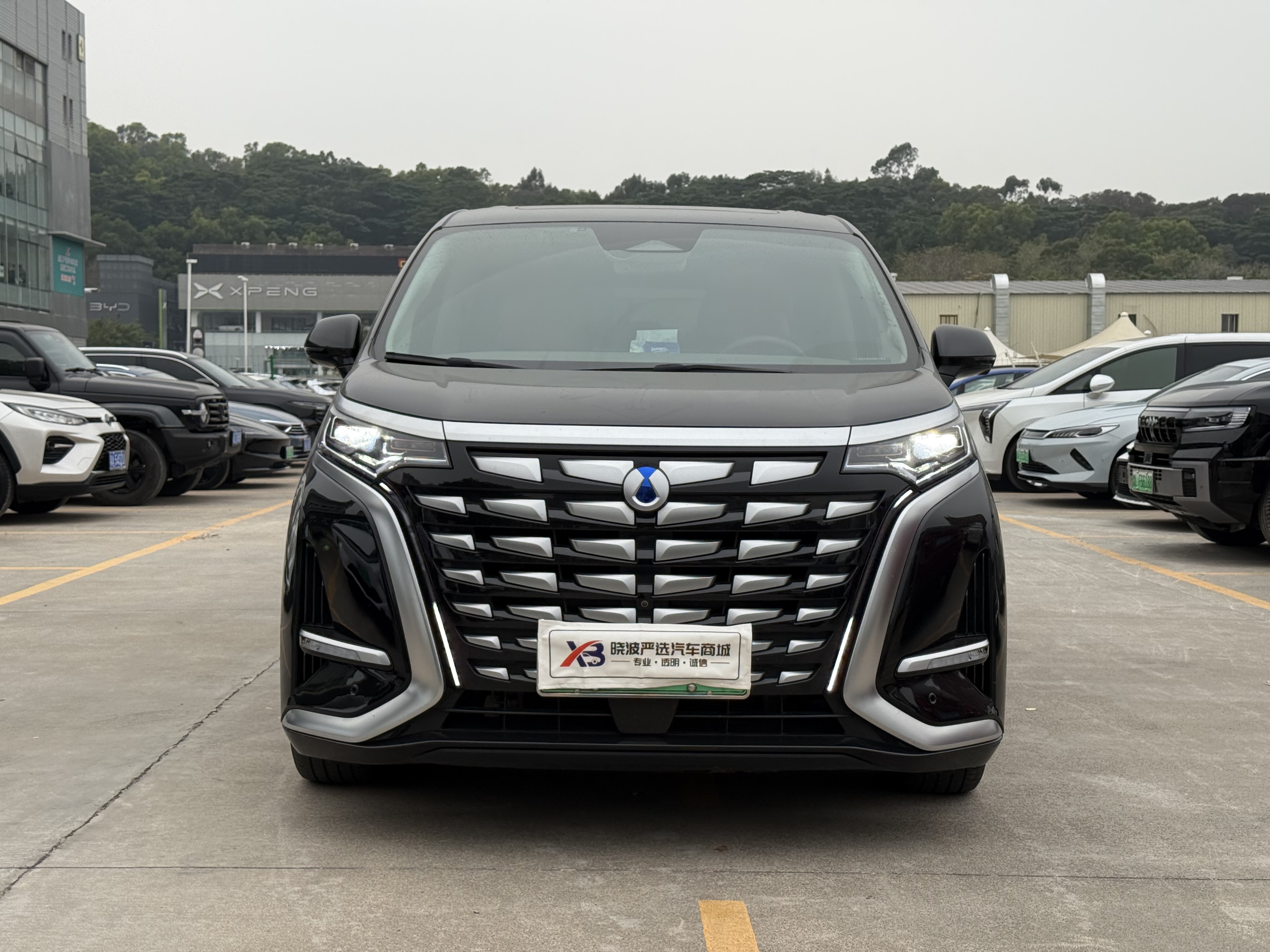 腾势 腾势D9 2023 汽车图片 #3