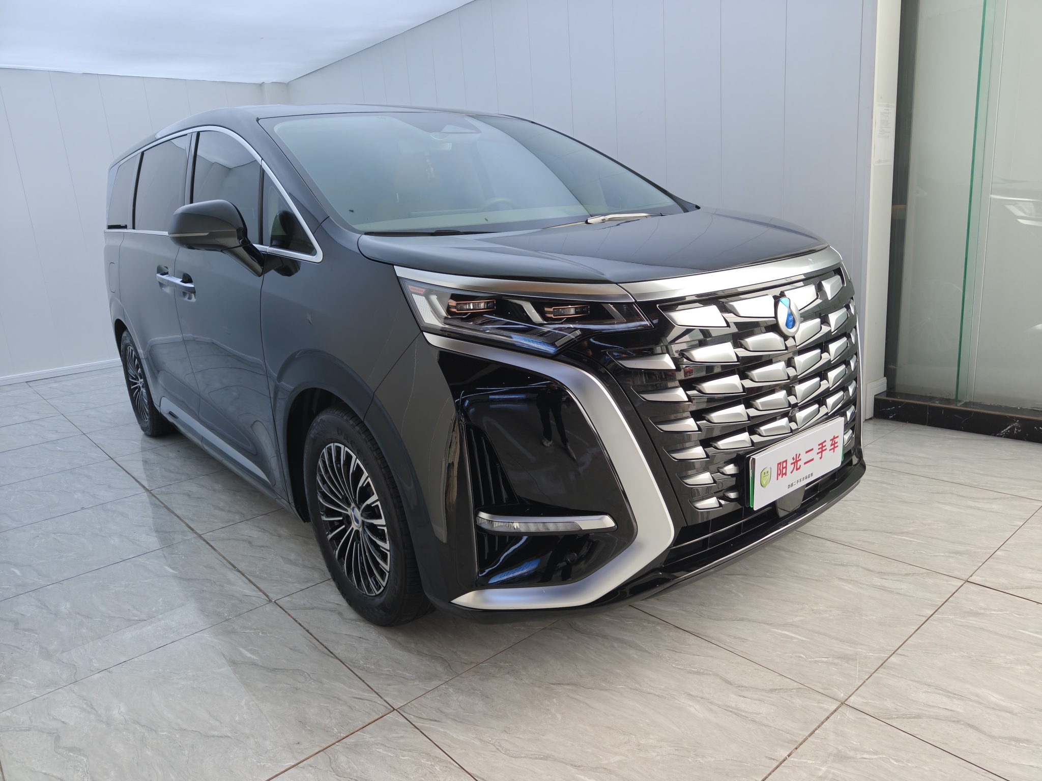 Denza D9 2023 imagen de coche #3