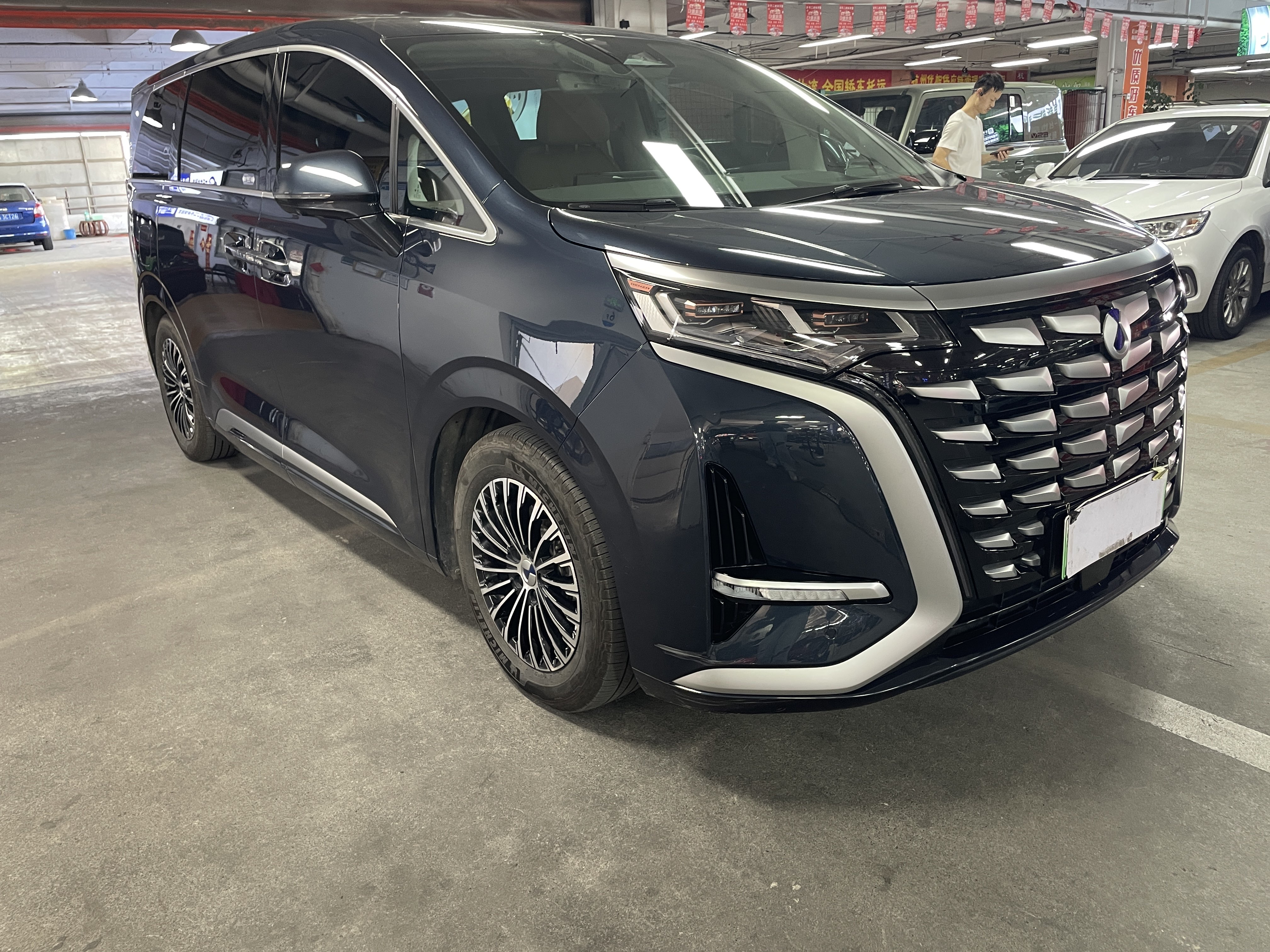 Denza D9 2023 immagine di auto #3