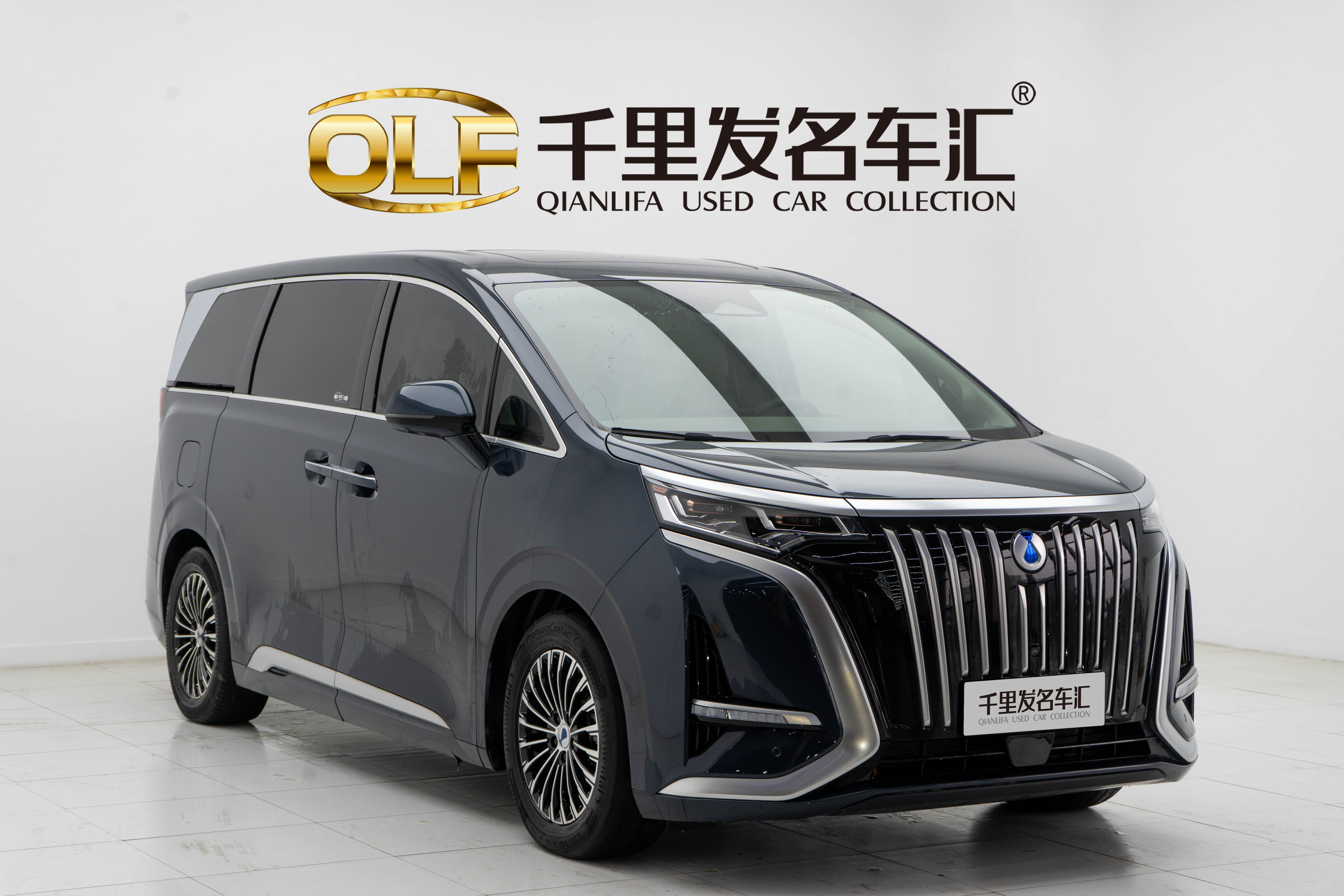 Denza D9 2023 immagine di auto #3