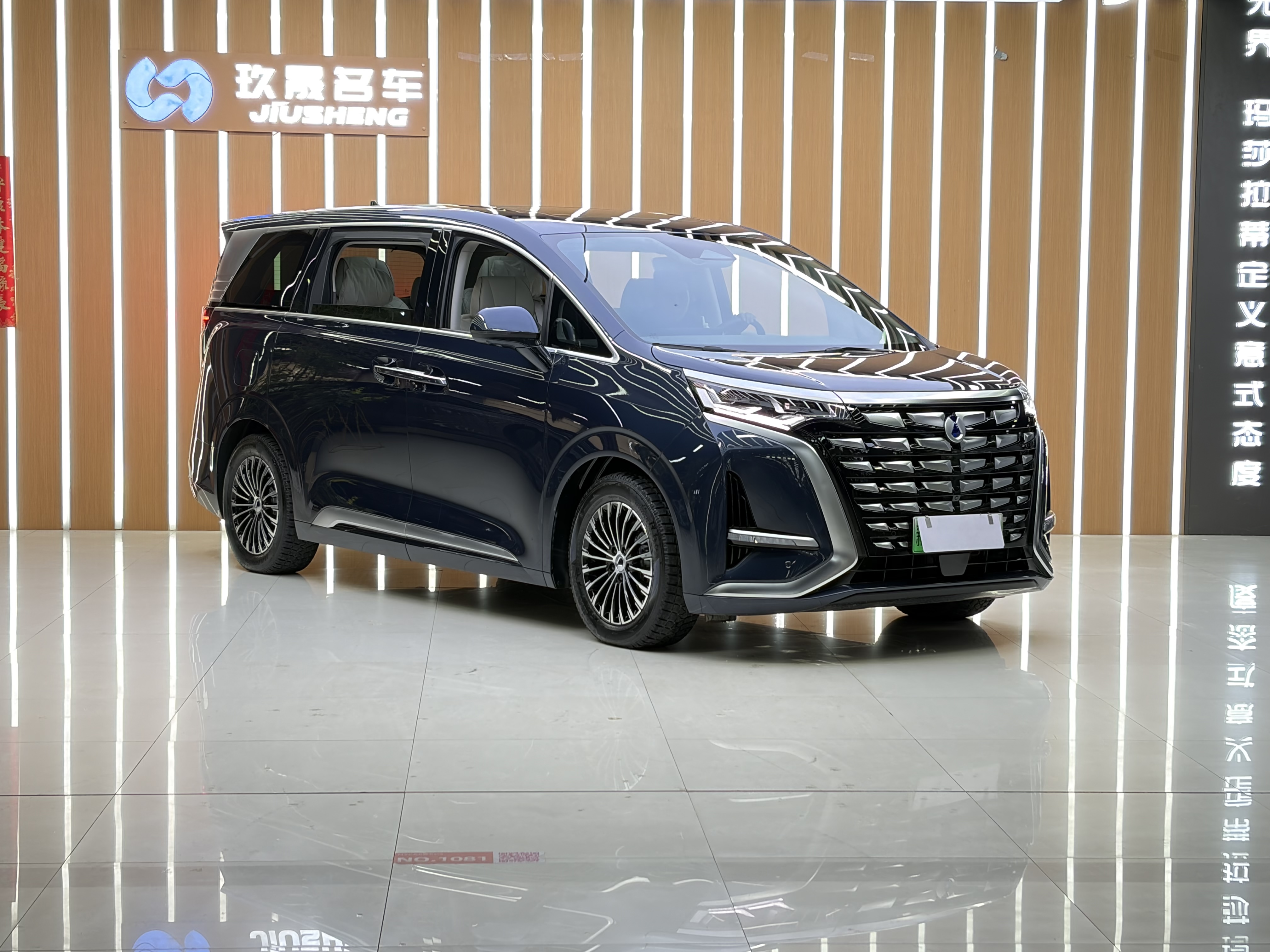 Denza D9 2023 صورة سيارة #3