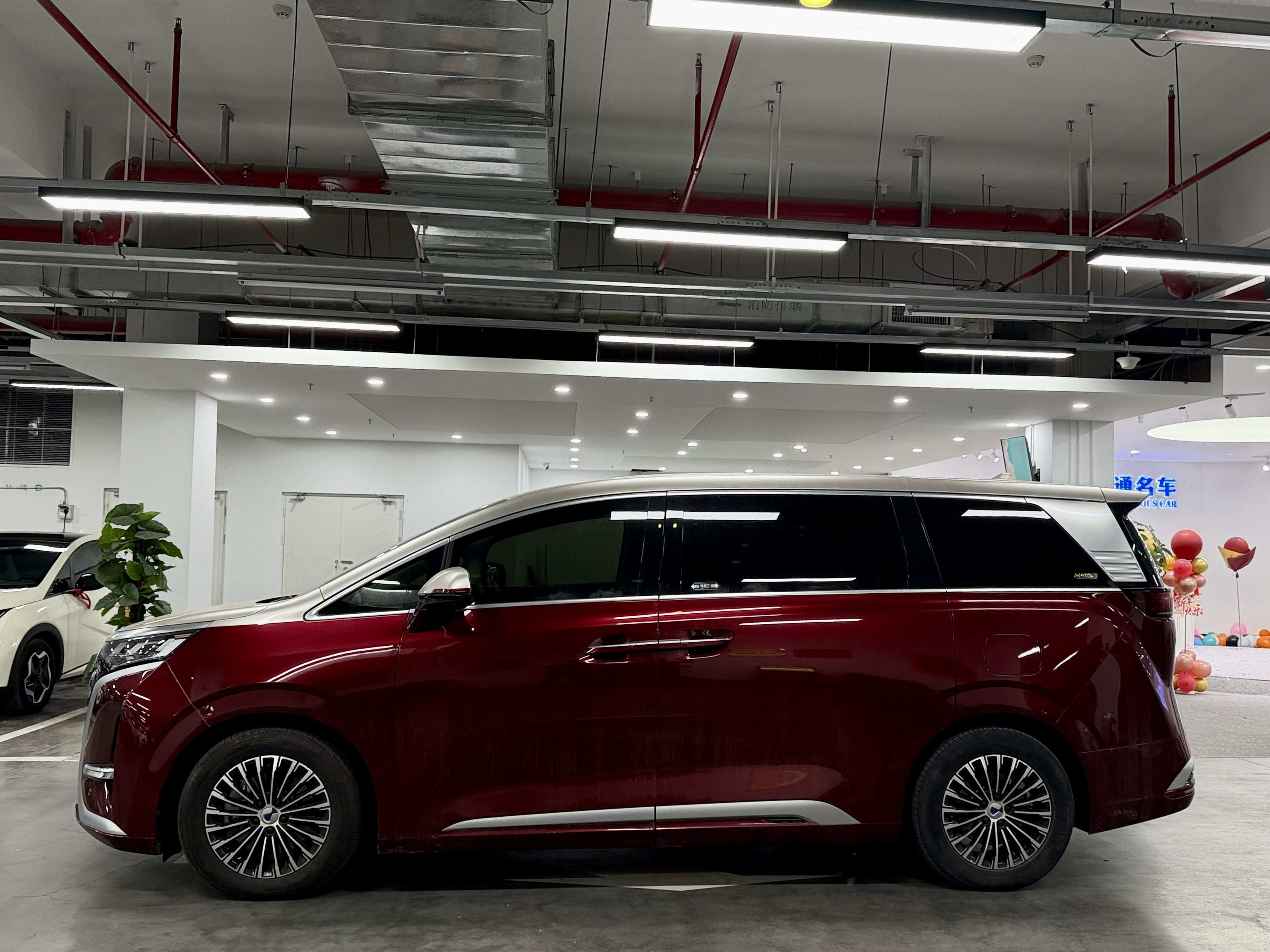 Denza D9 2023 imagem de carro #3