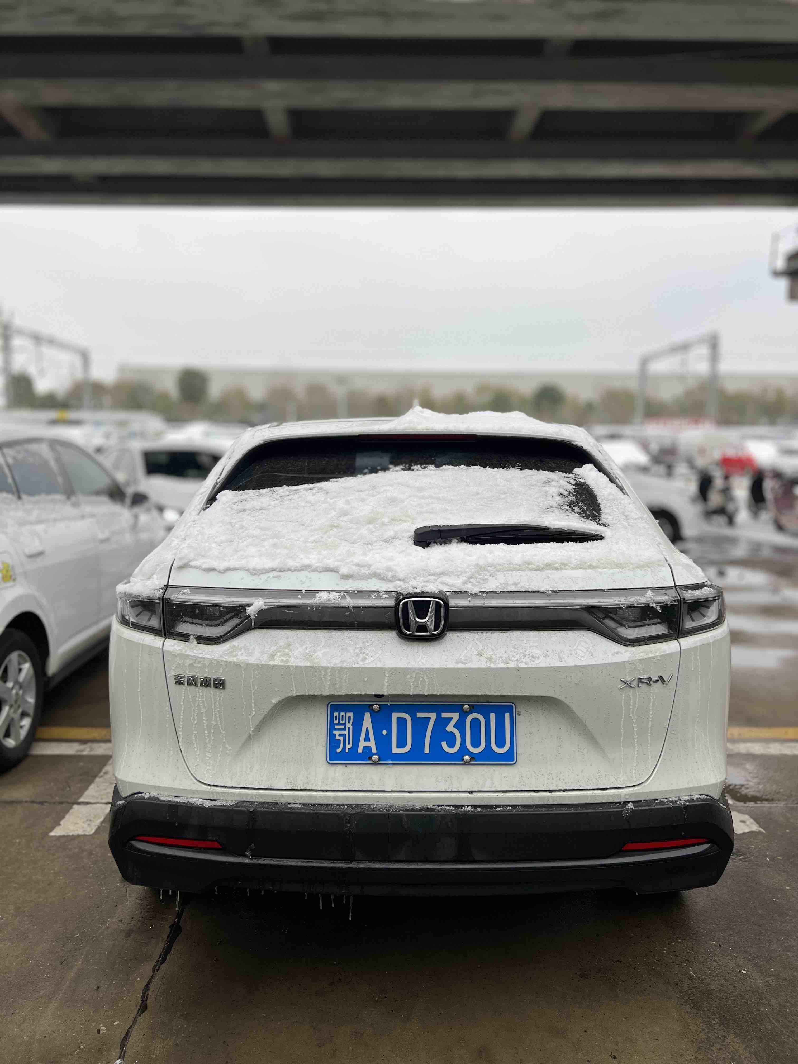 Honda XR-V 2023 car image #3