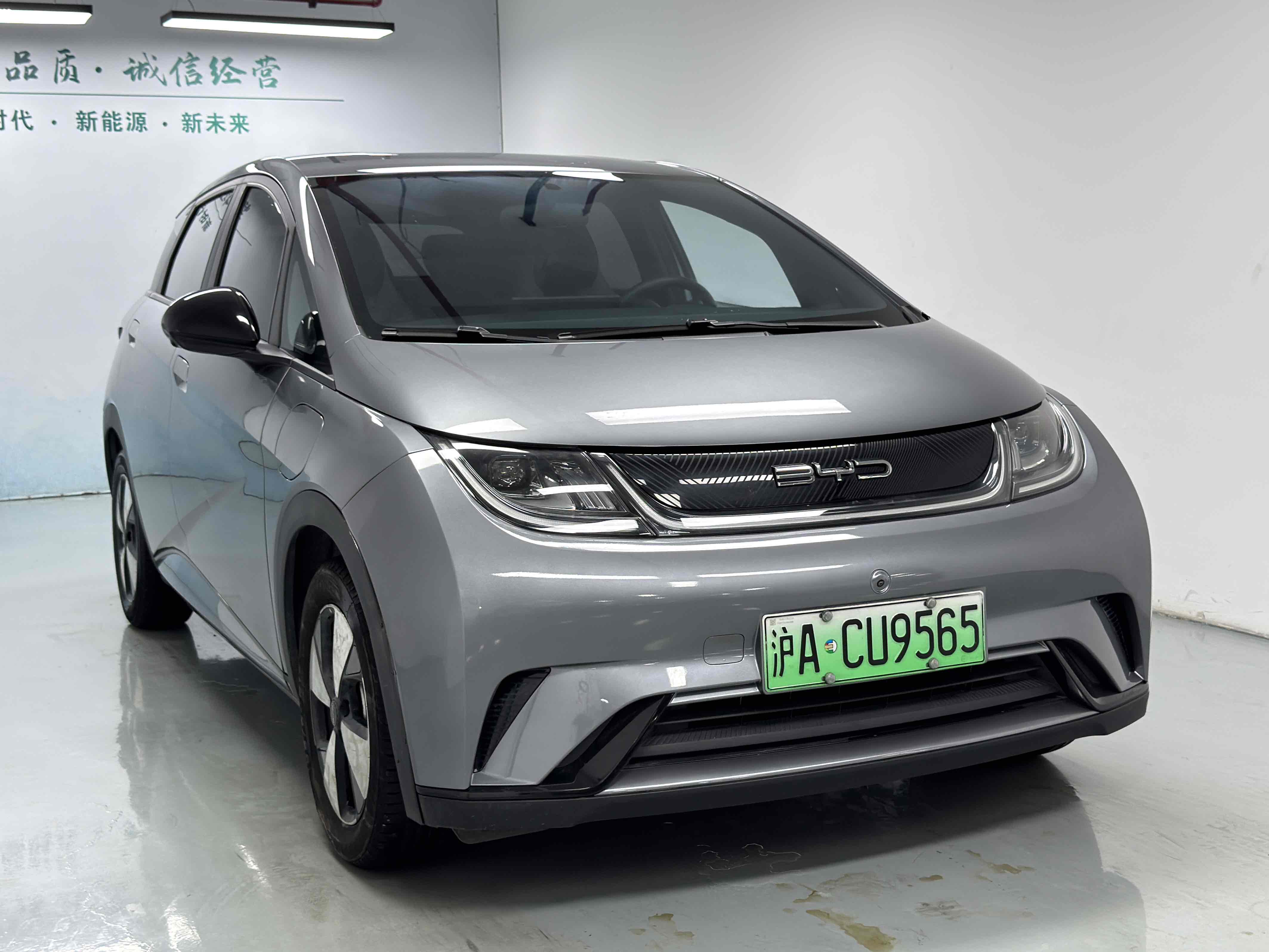 BYD Dolphin 2023 car image #3