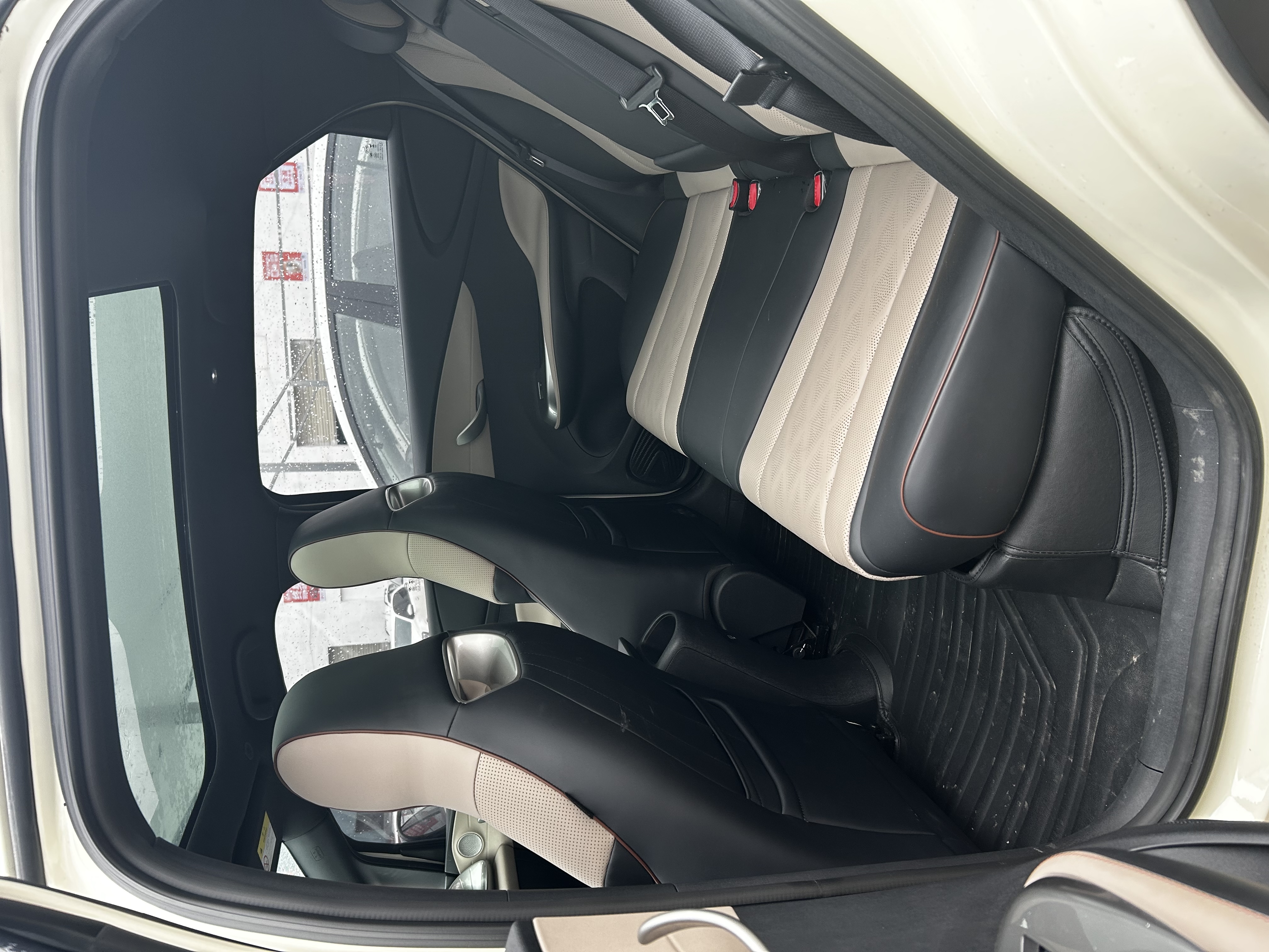 BYD Dolphin 2023 car image #3