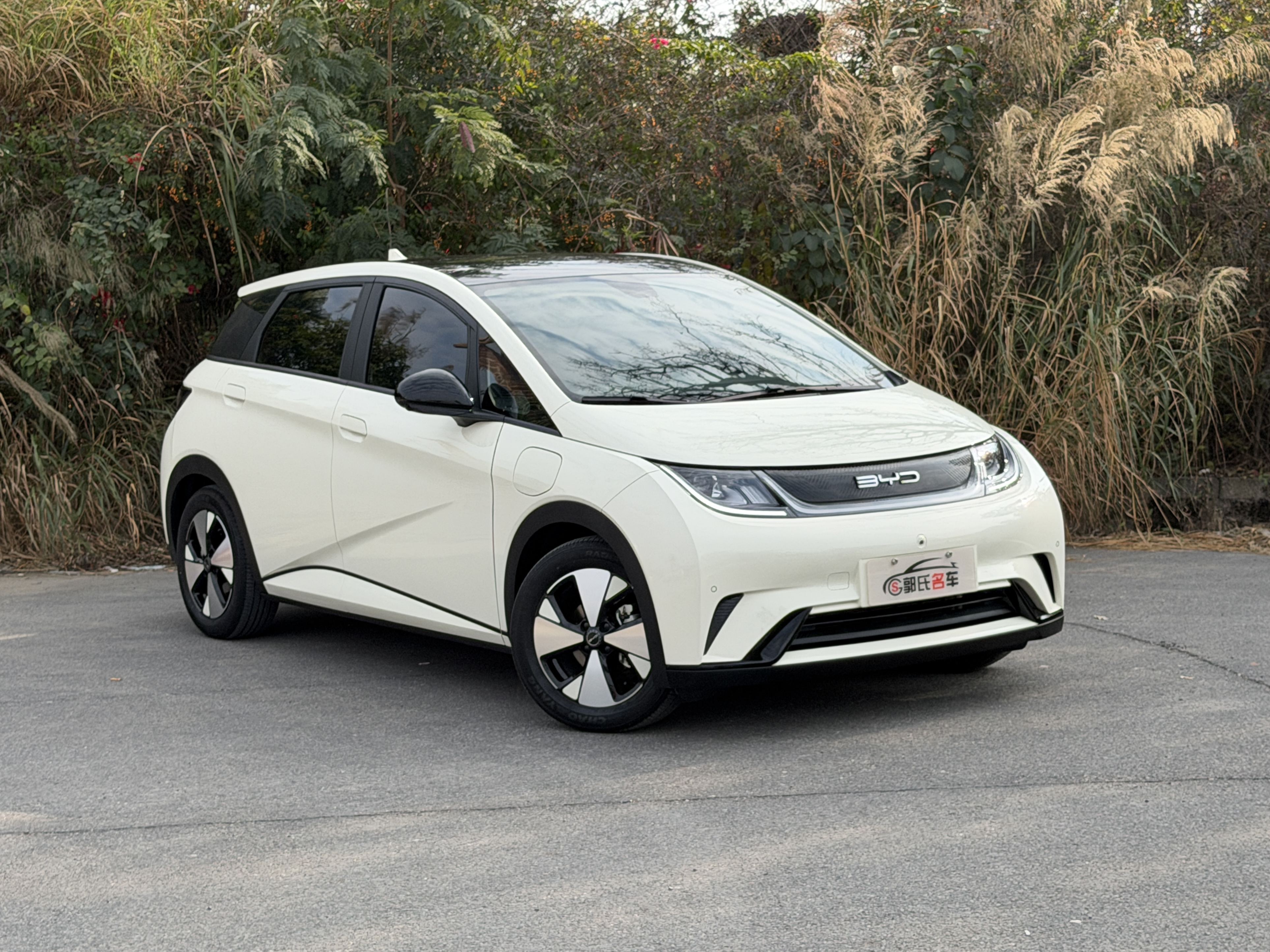 BYD Dolphin 2023 car image #3