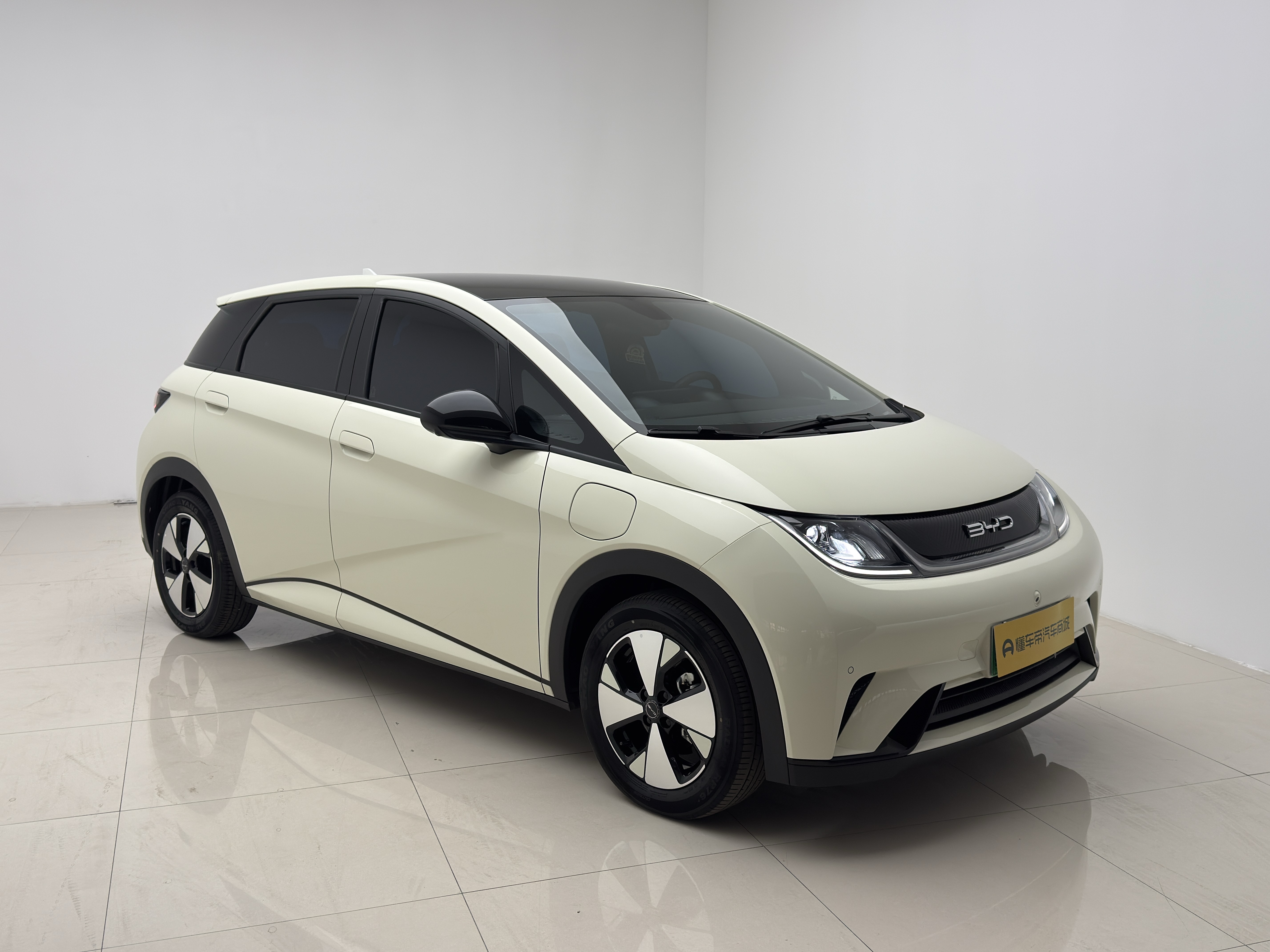 BYD Dolphin 2024 car image #3