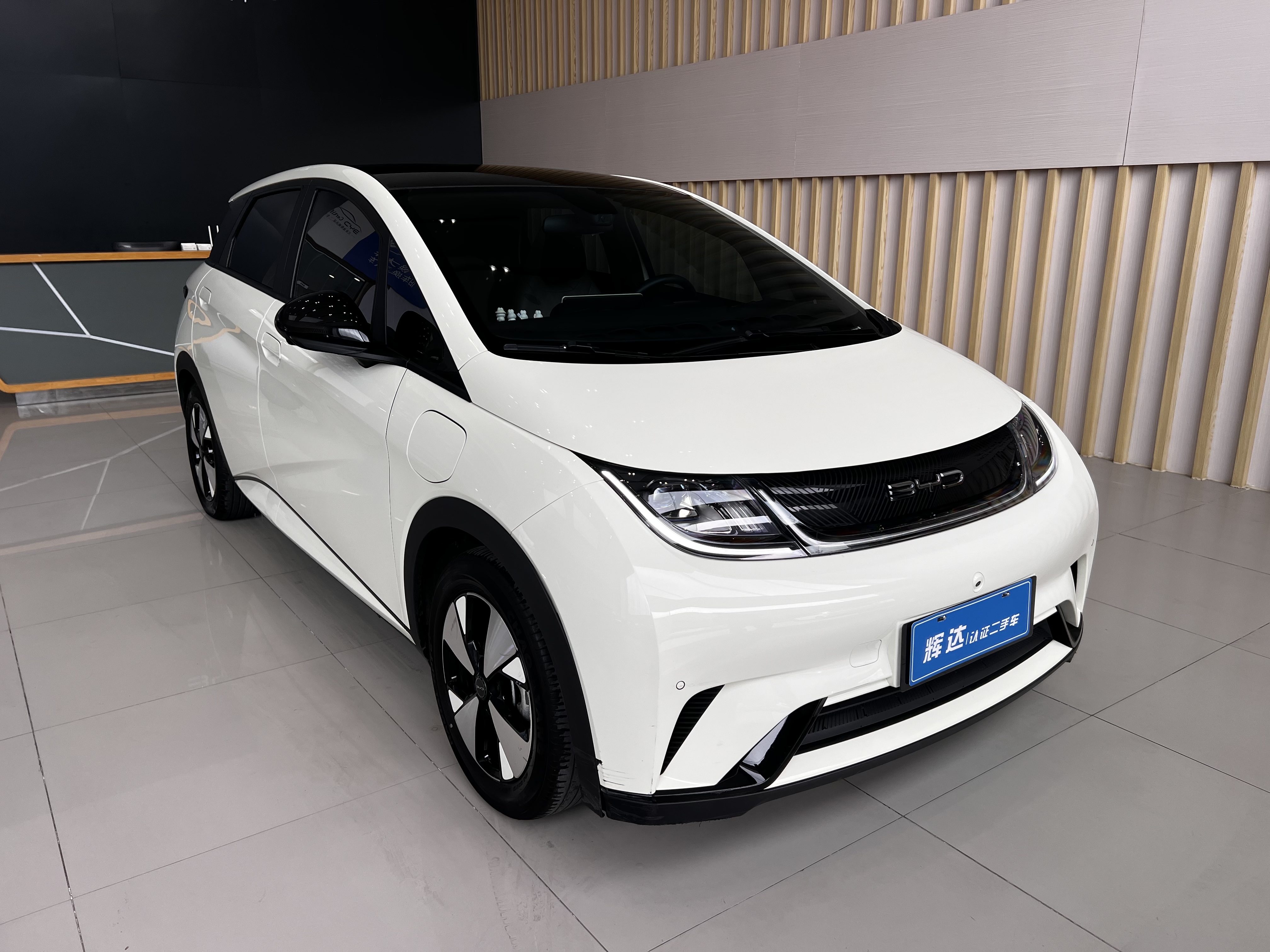 BYD Dolphin 2023 car image #3