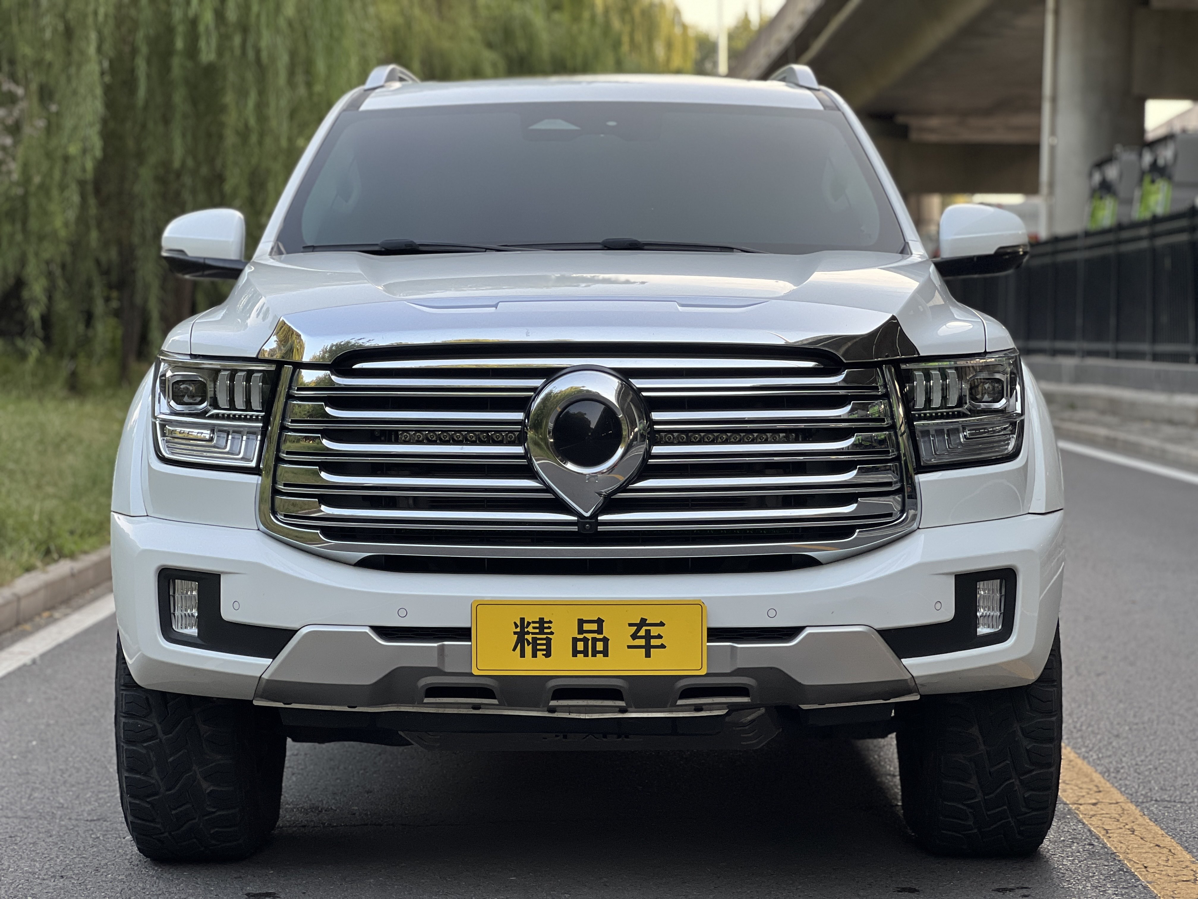 Great Wall Shanhai Pao 2023 car image #3
