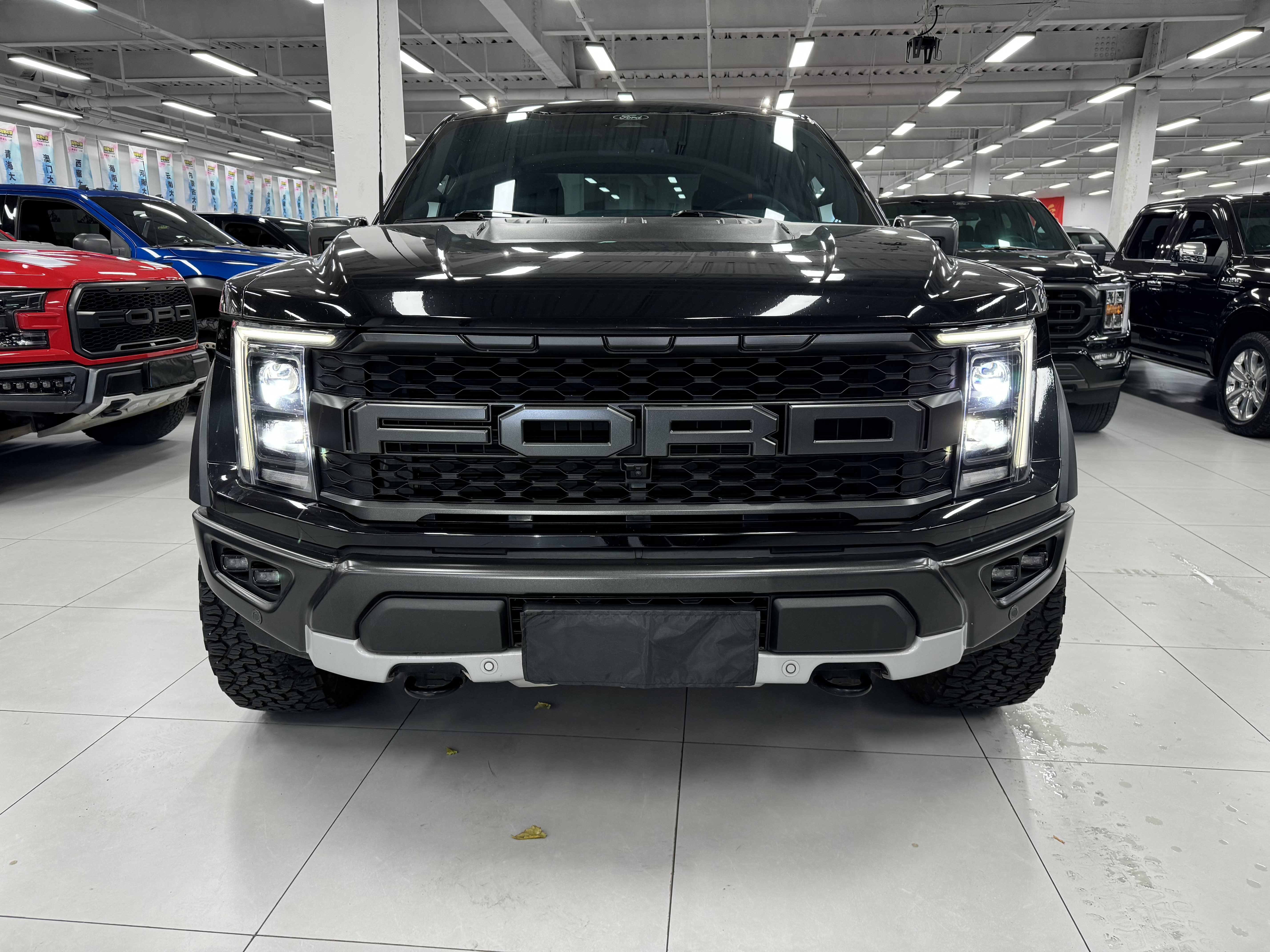 Ford F-150 Raptor 2023 car image #3
