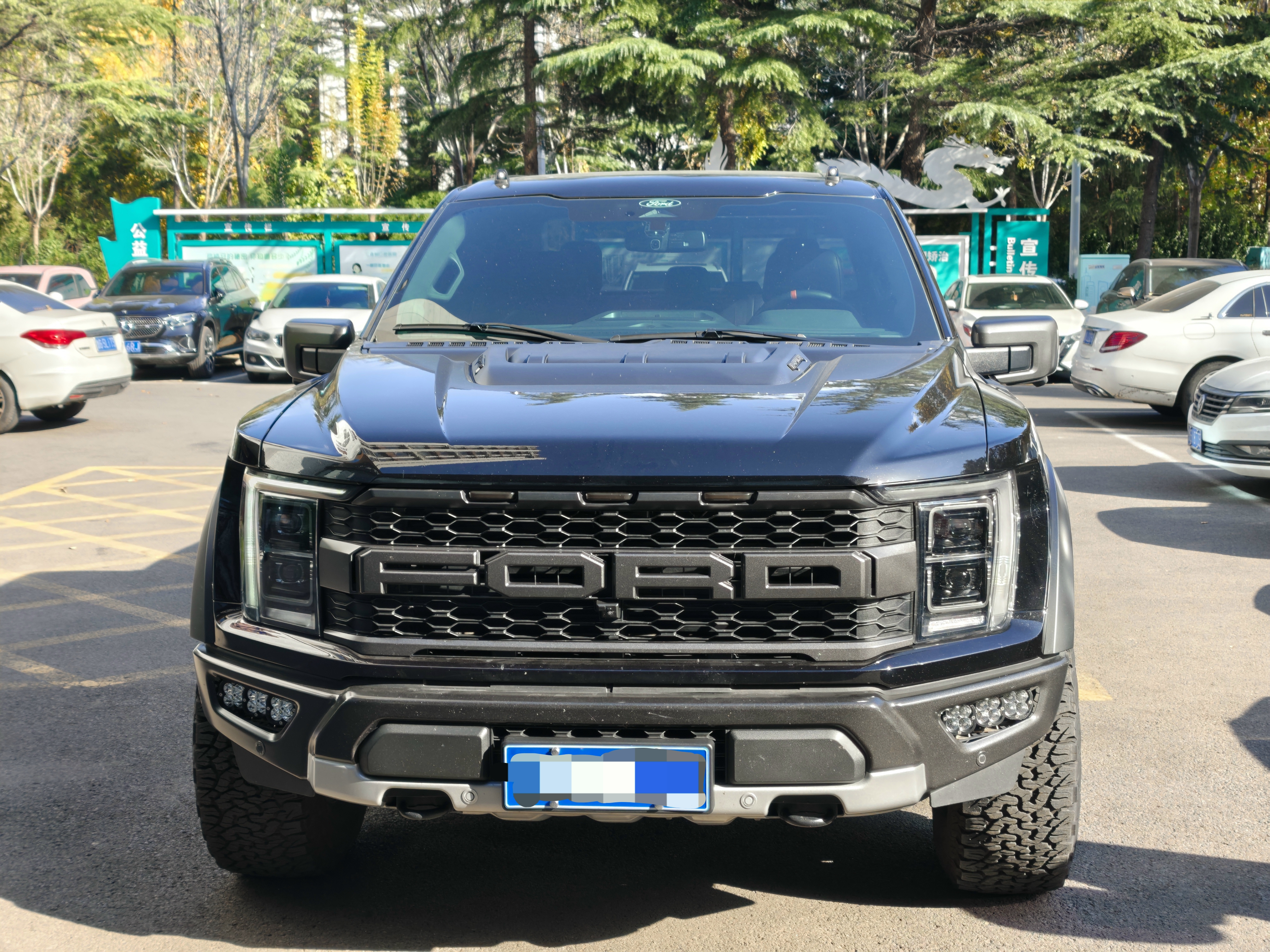 Ford F-150 Raptor 2023 car image #3