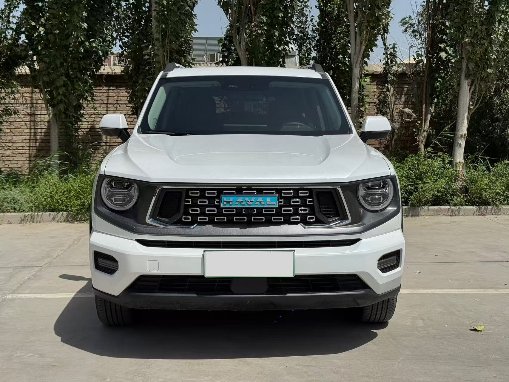 Haval X Dog 2 New Energy 2023 car image #3