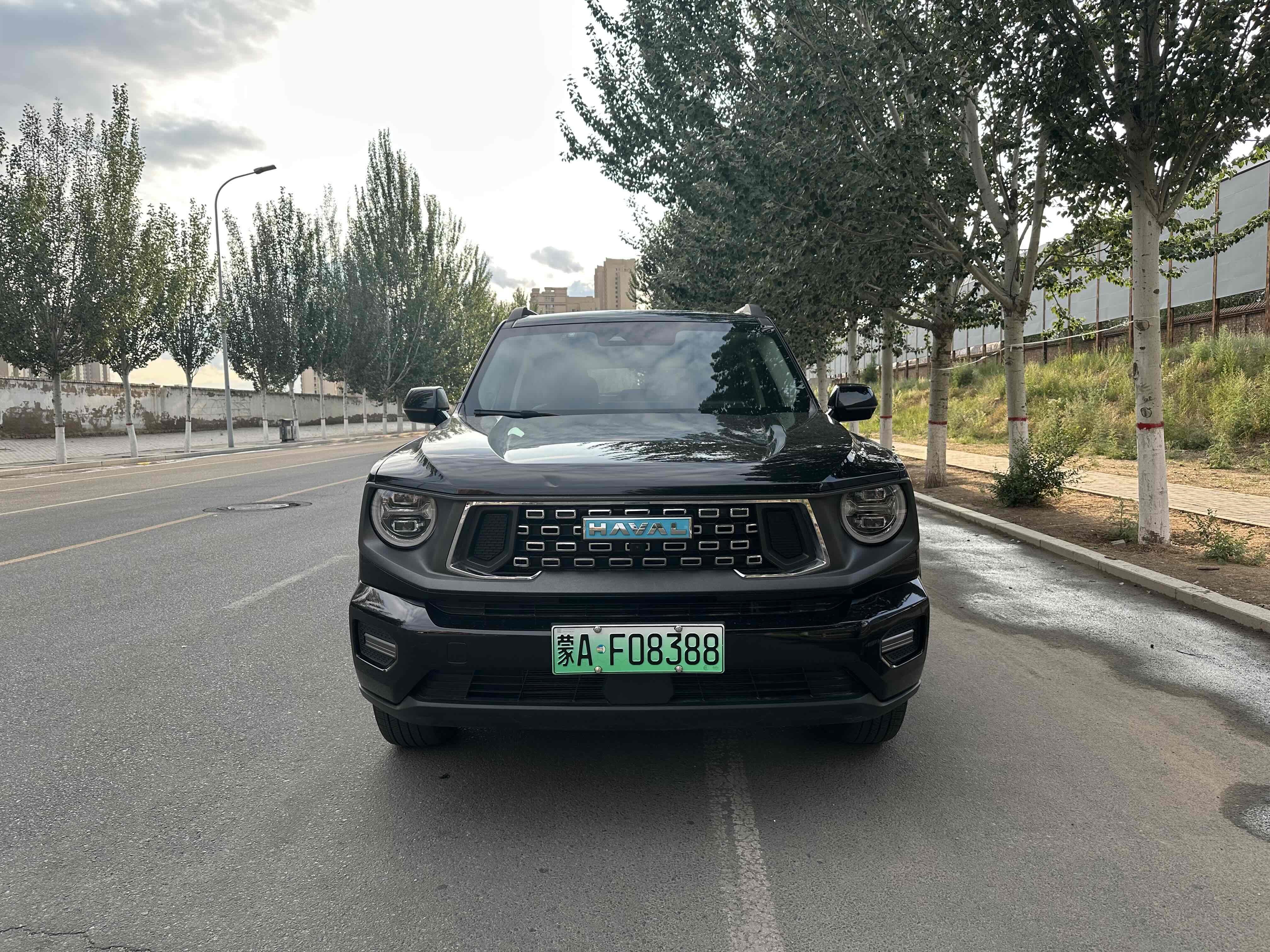 Haval Dargo 2 2023 #3 Haval Dargo 2 2023 صورة سيارة #3