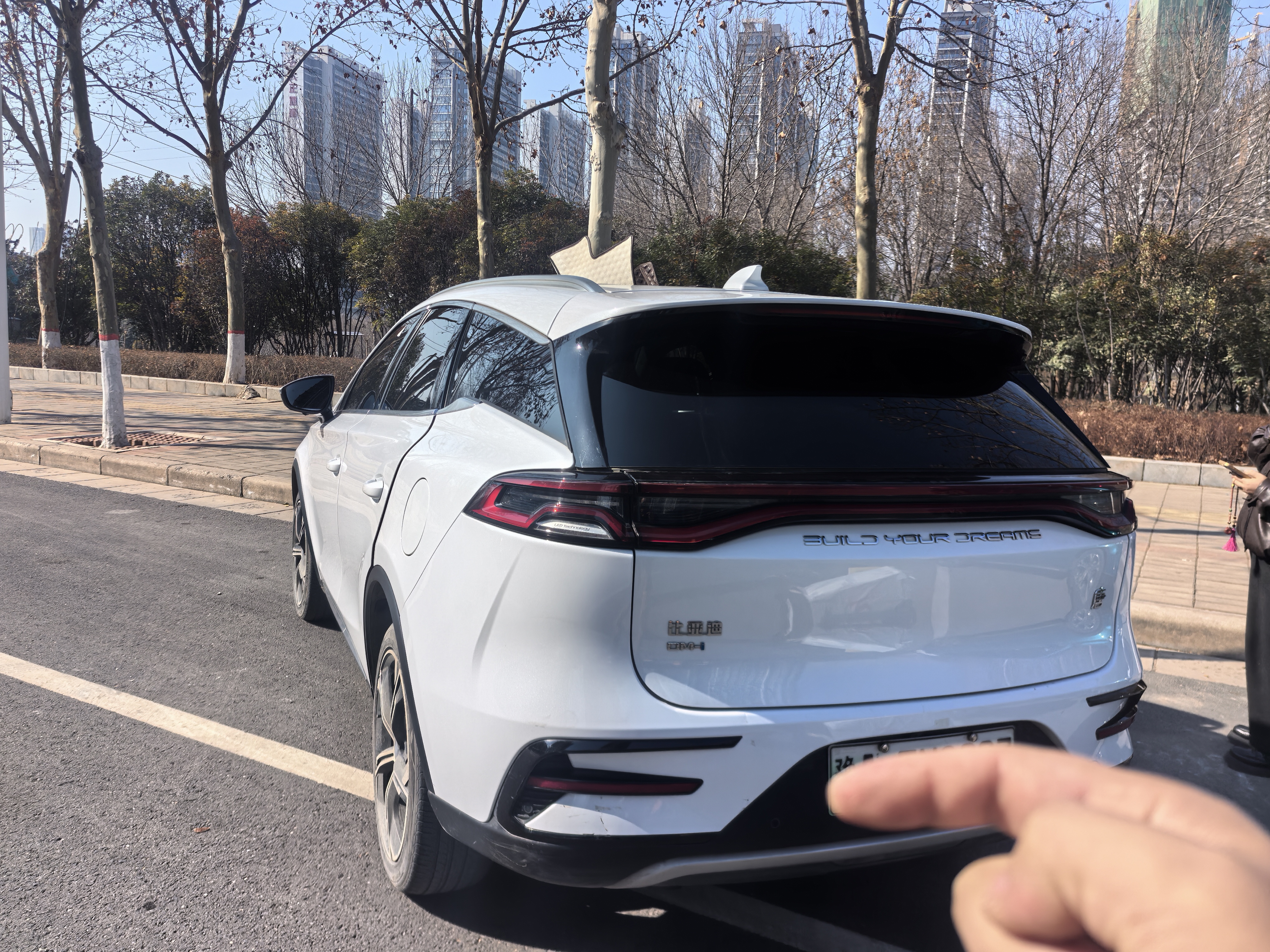 BYD Tang New Energy 2023 car image #3