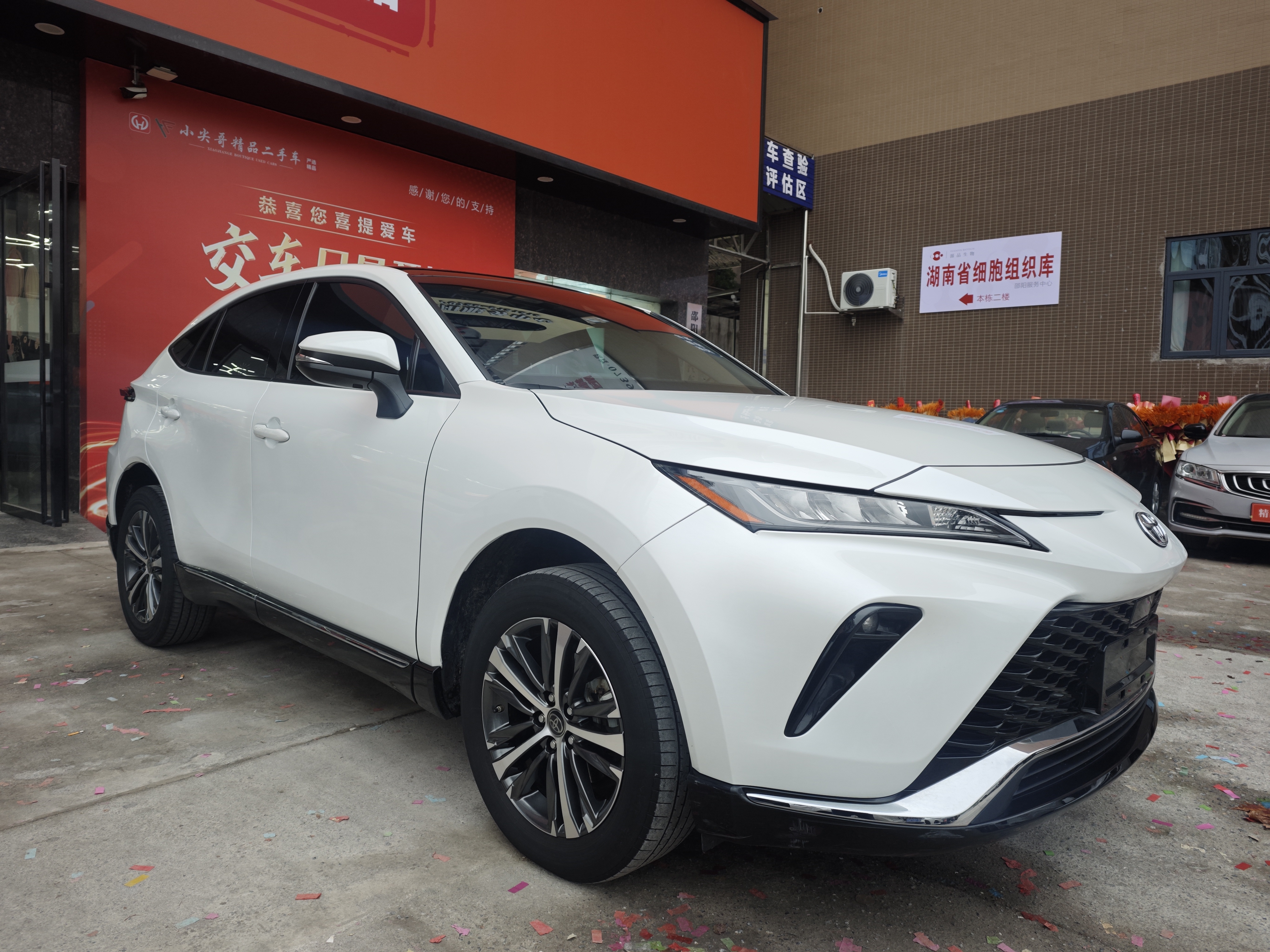 Toyota Venza 2024 immagine di auto #3