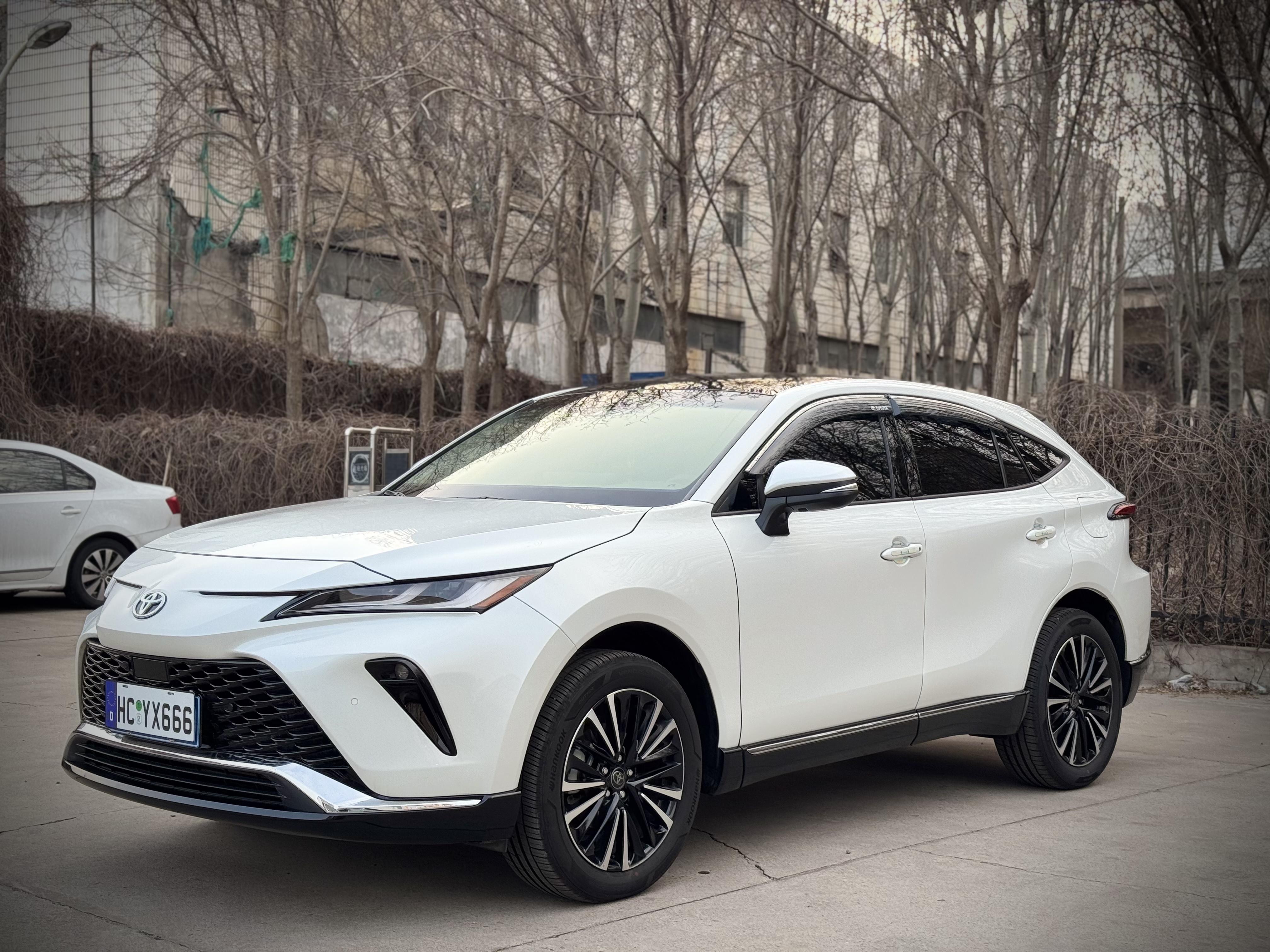 Toyota Venza 2023 car image #3