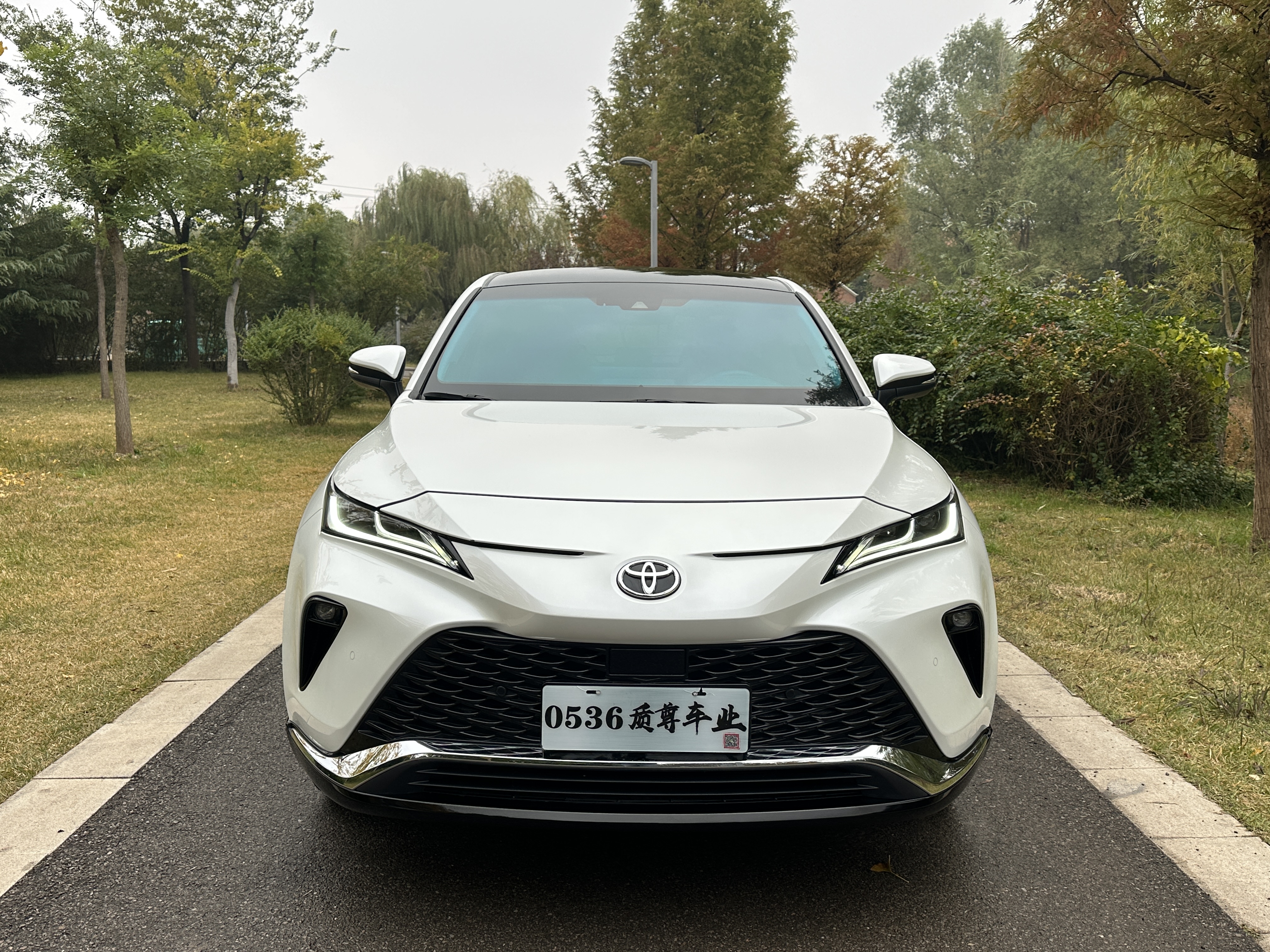 Toyota Venza 2023 immagine di auto #3