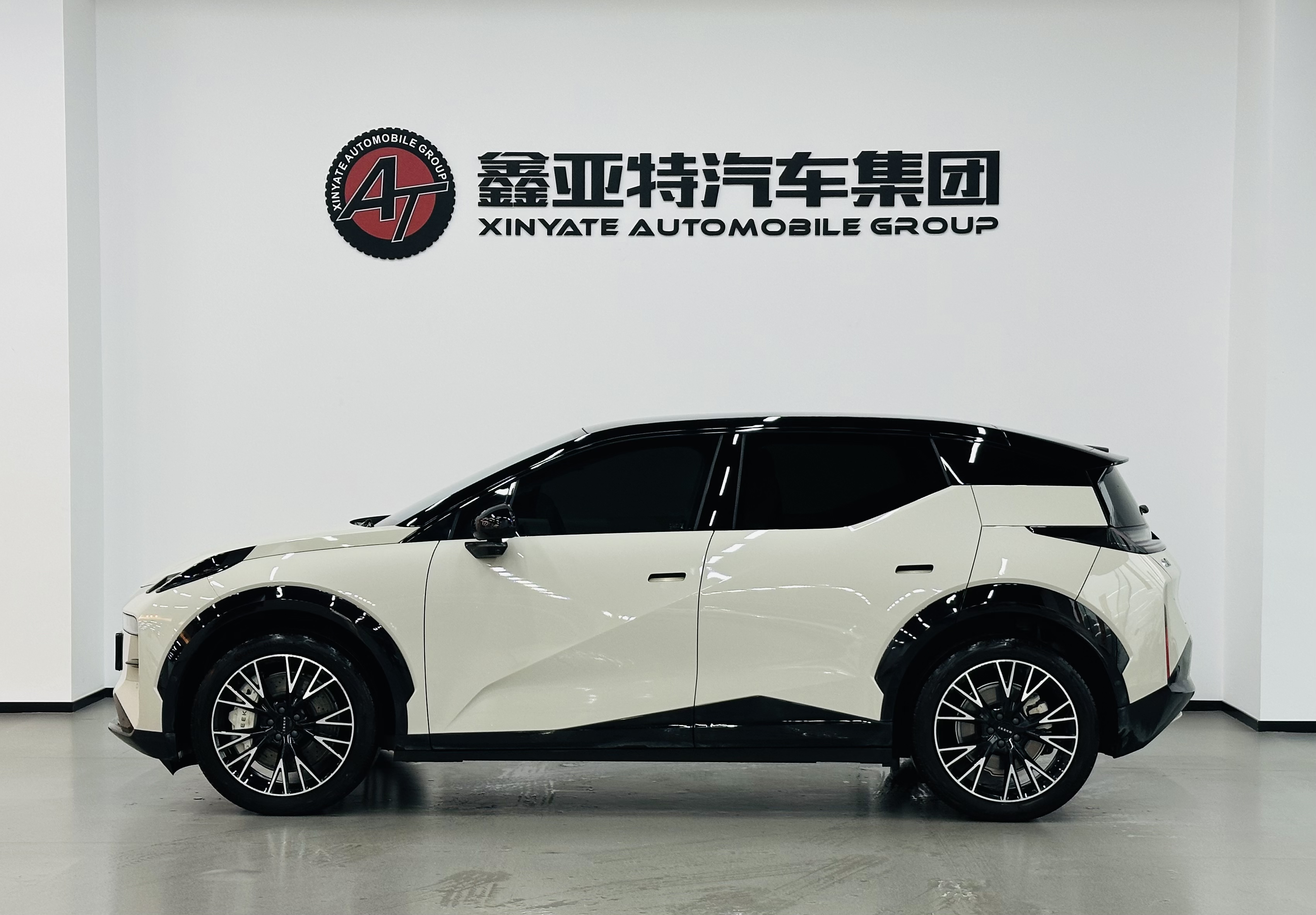 极氪 极氪X 2023 汽车图片 #3