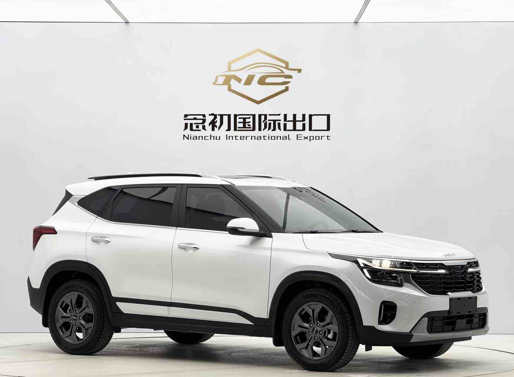 Kia Seltos 2023 imagen de coche #3