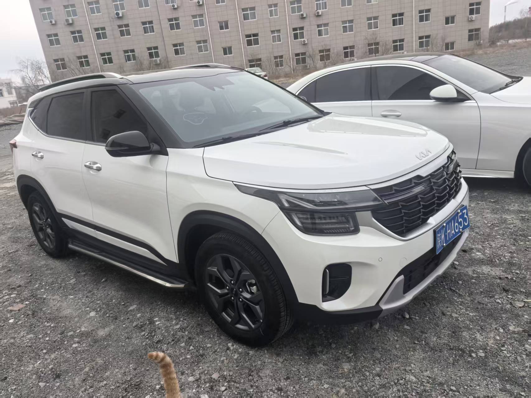 起亚 赛图斯 2023 汽车图片 #3