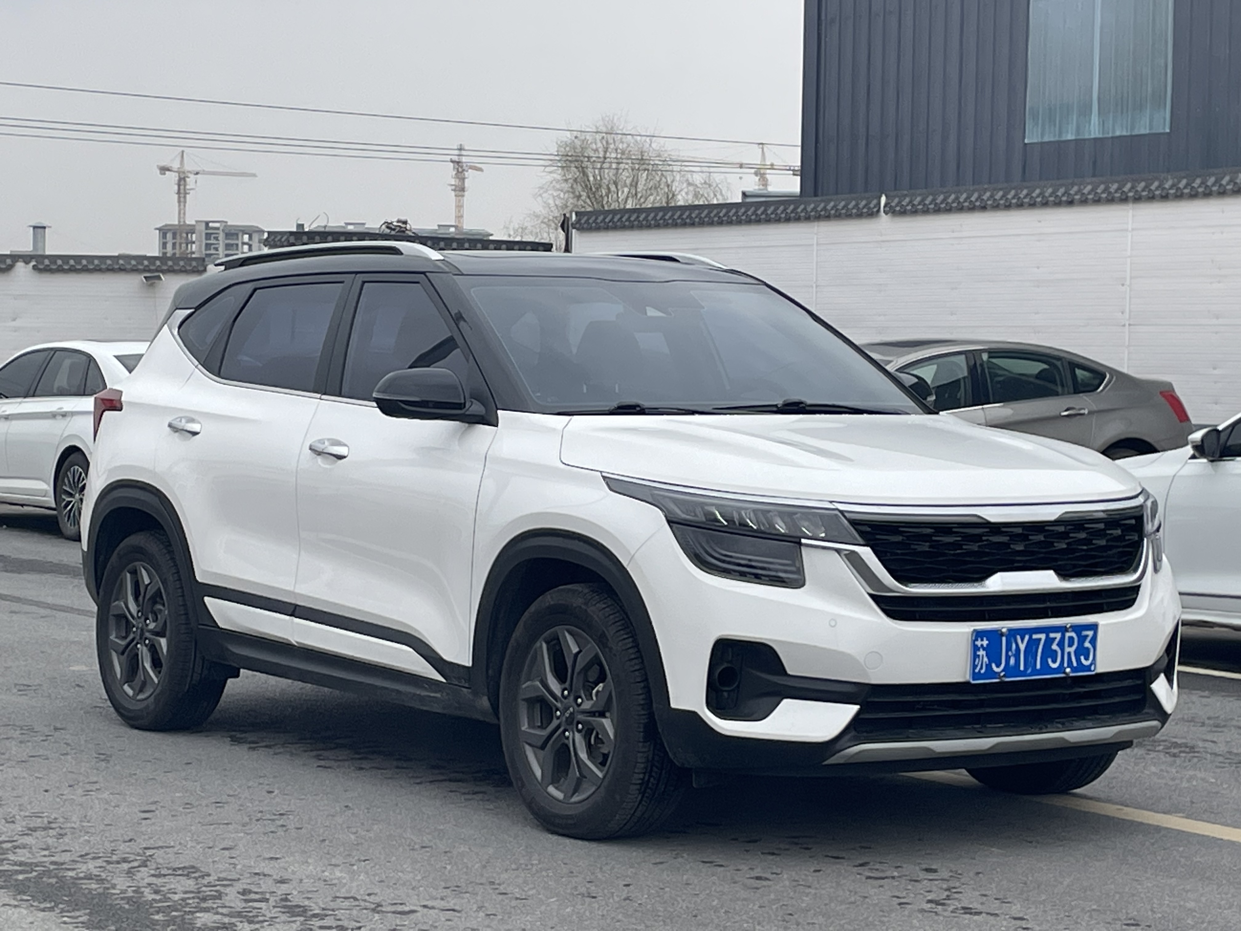 Kia Seltos 2024 imagen de coche #3