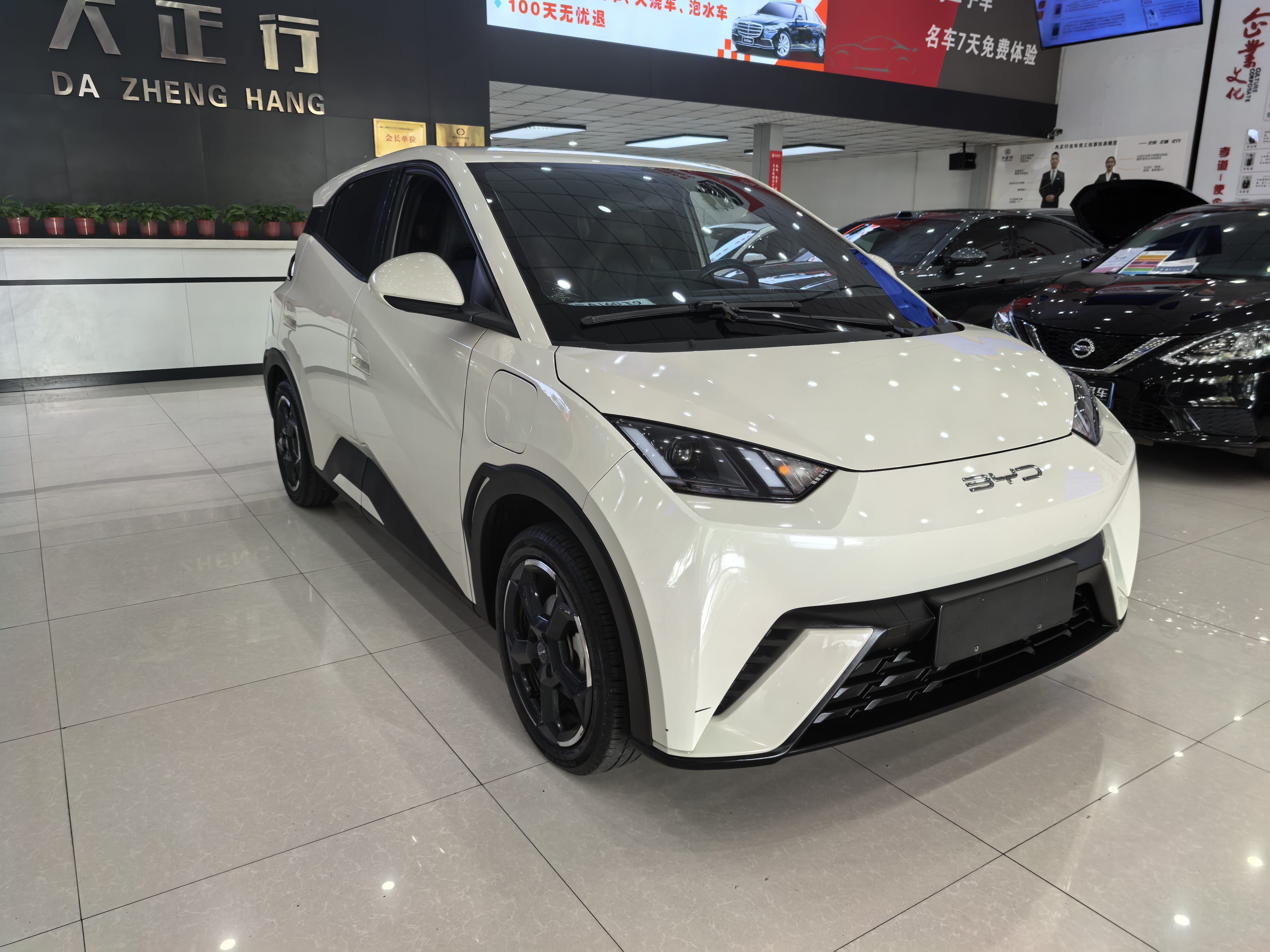 BYD Seagull 2023 imagen de coche #3