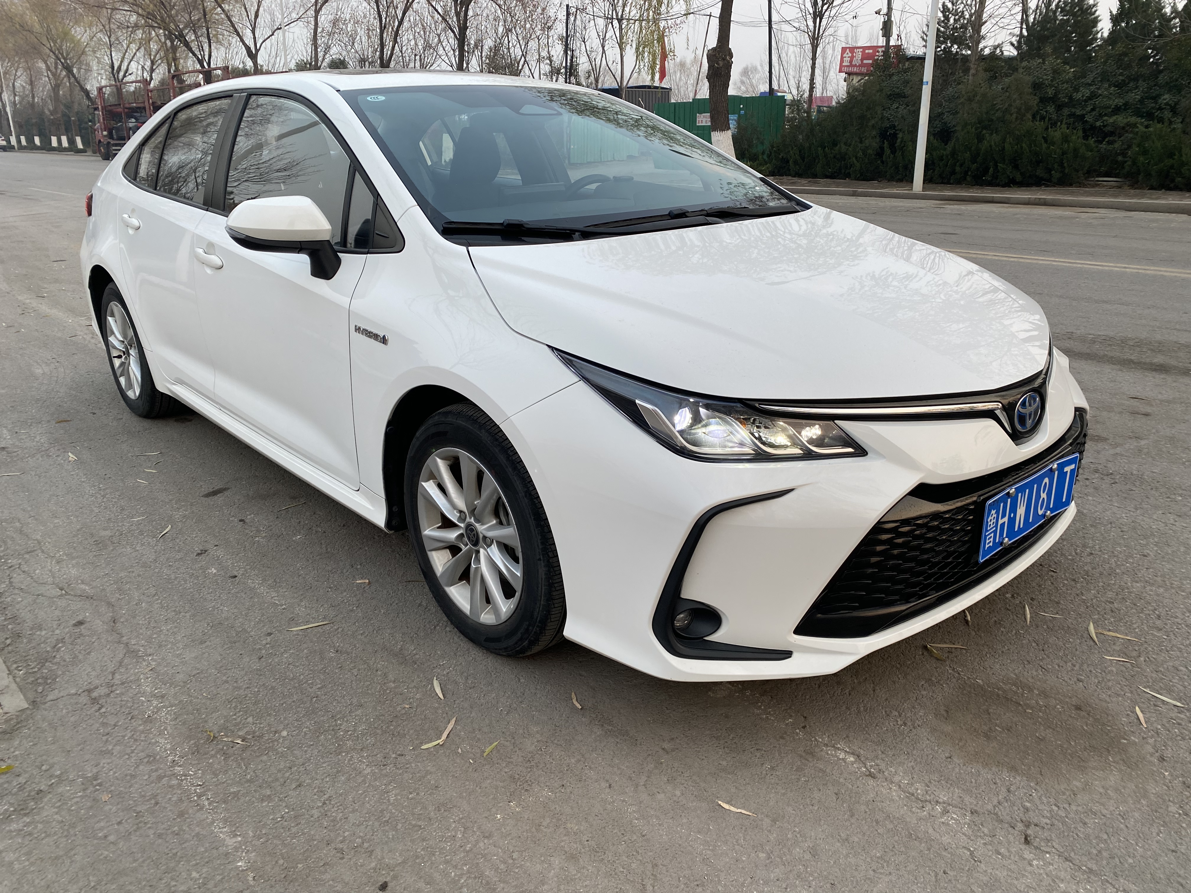 Corolla 2023 car image #3