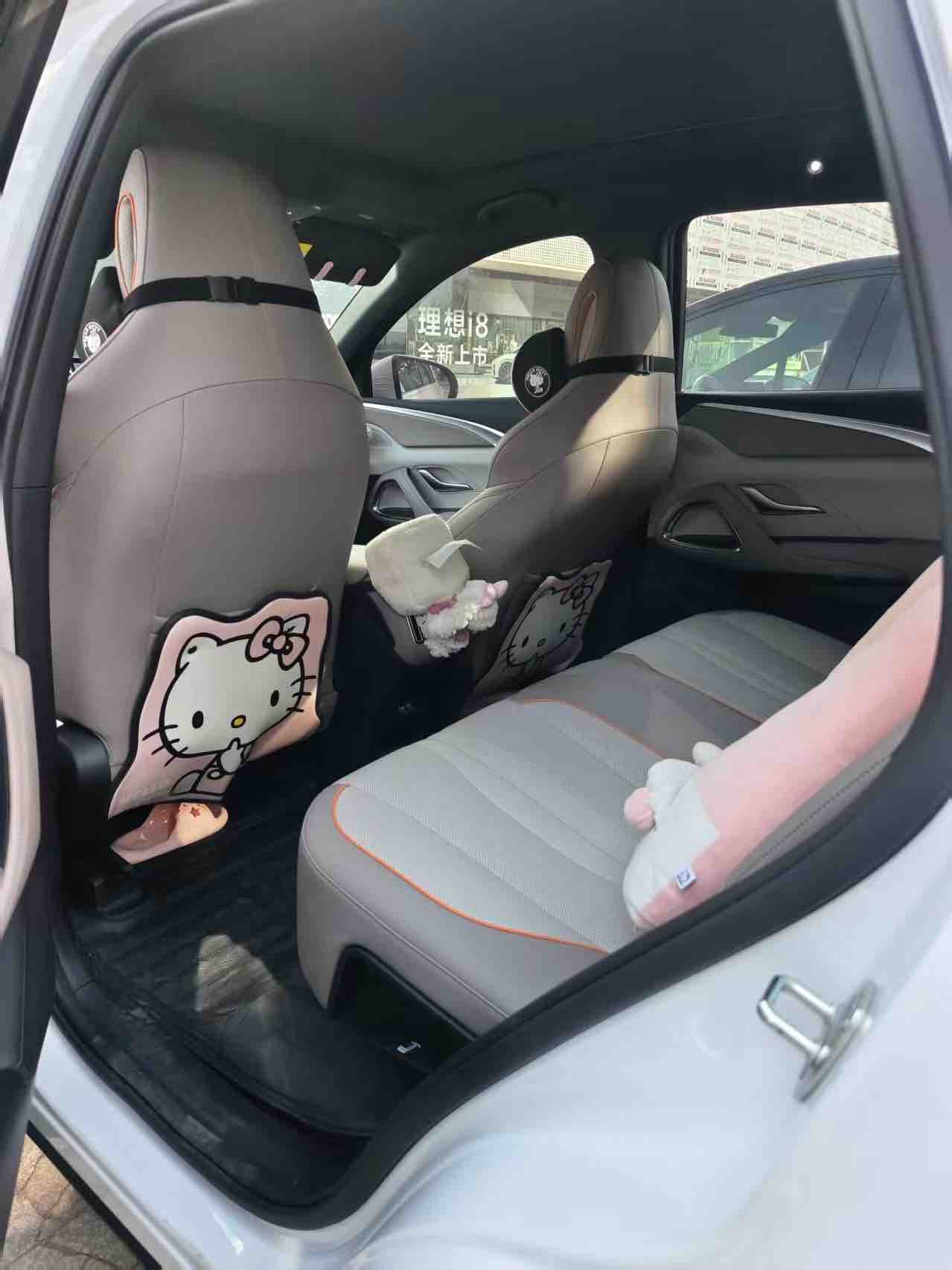 BYD Song Pro New Energy 2024 #3 BYD Song Pro New Energy 2024 car image #3