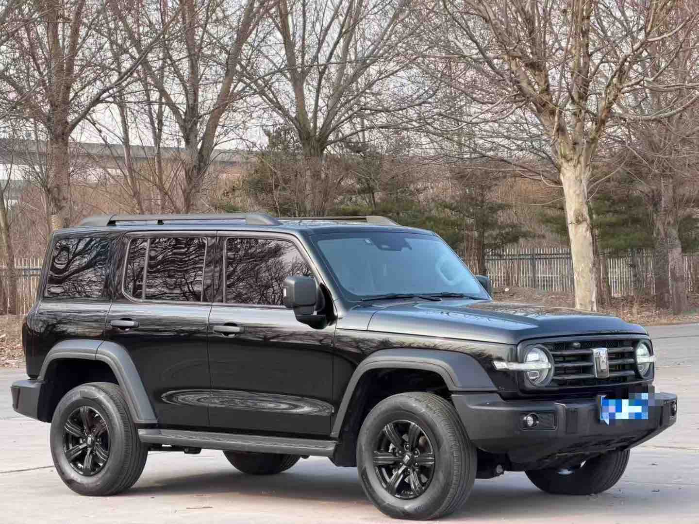 坦克 坦克300 2023 汽车图片 #3